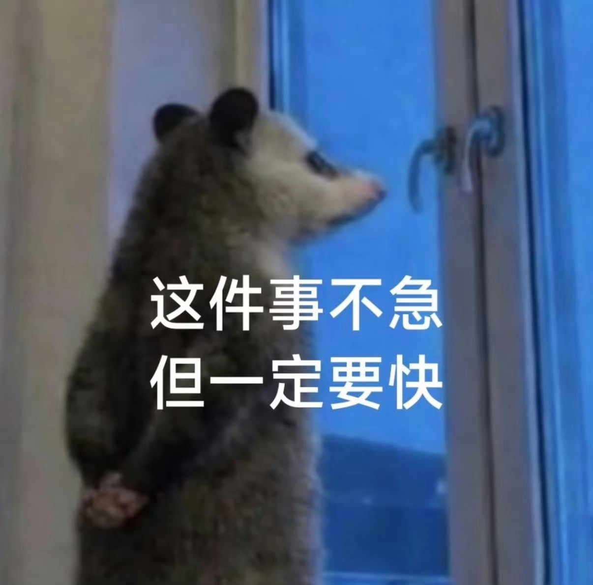 等待路透出现的时候先来把今天的星品投了！！！不投不许看路透！！！！！！别等到晚上