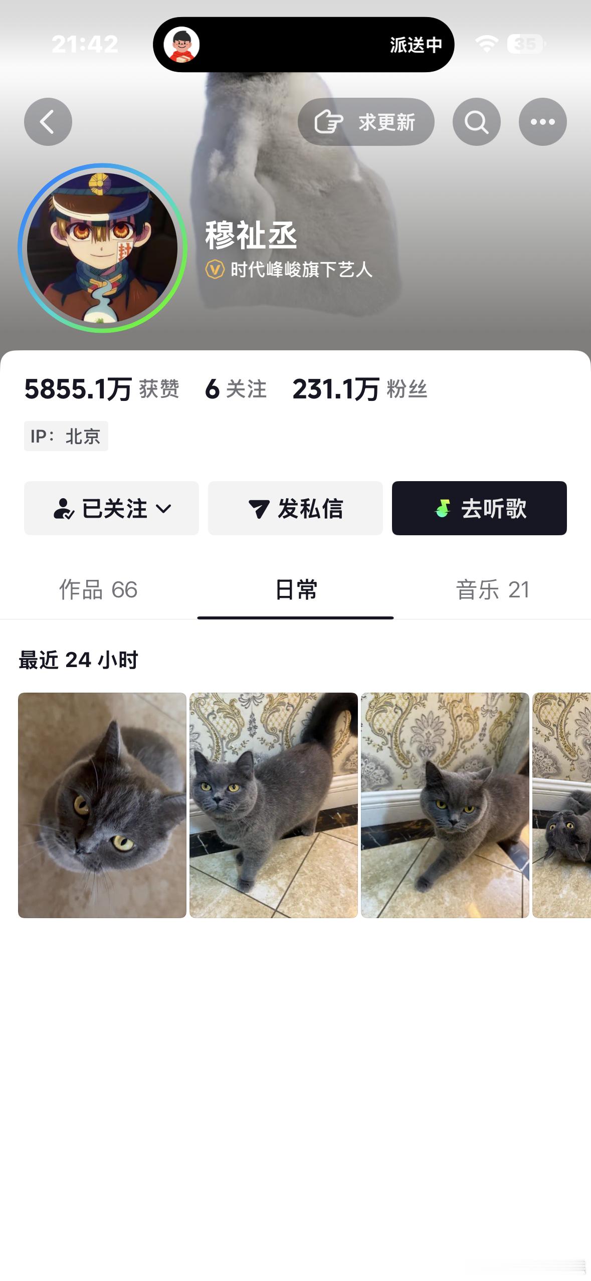 感觉面团瘦了，好心疼 老公的猫就是我的猫 