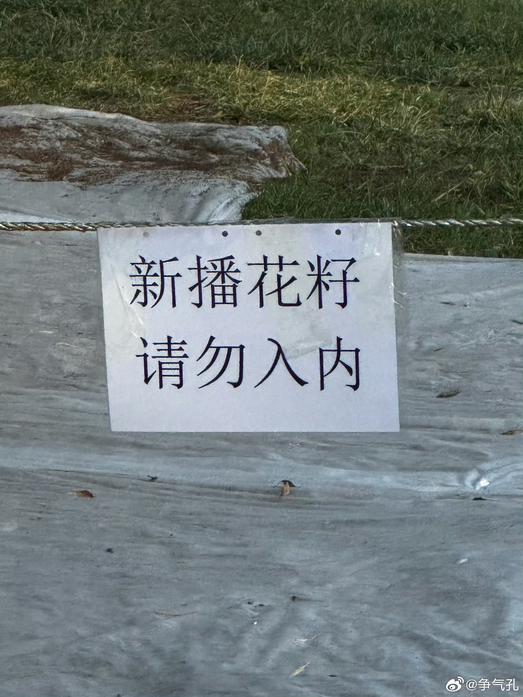 内心写照： 
