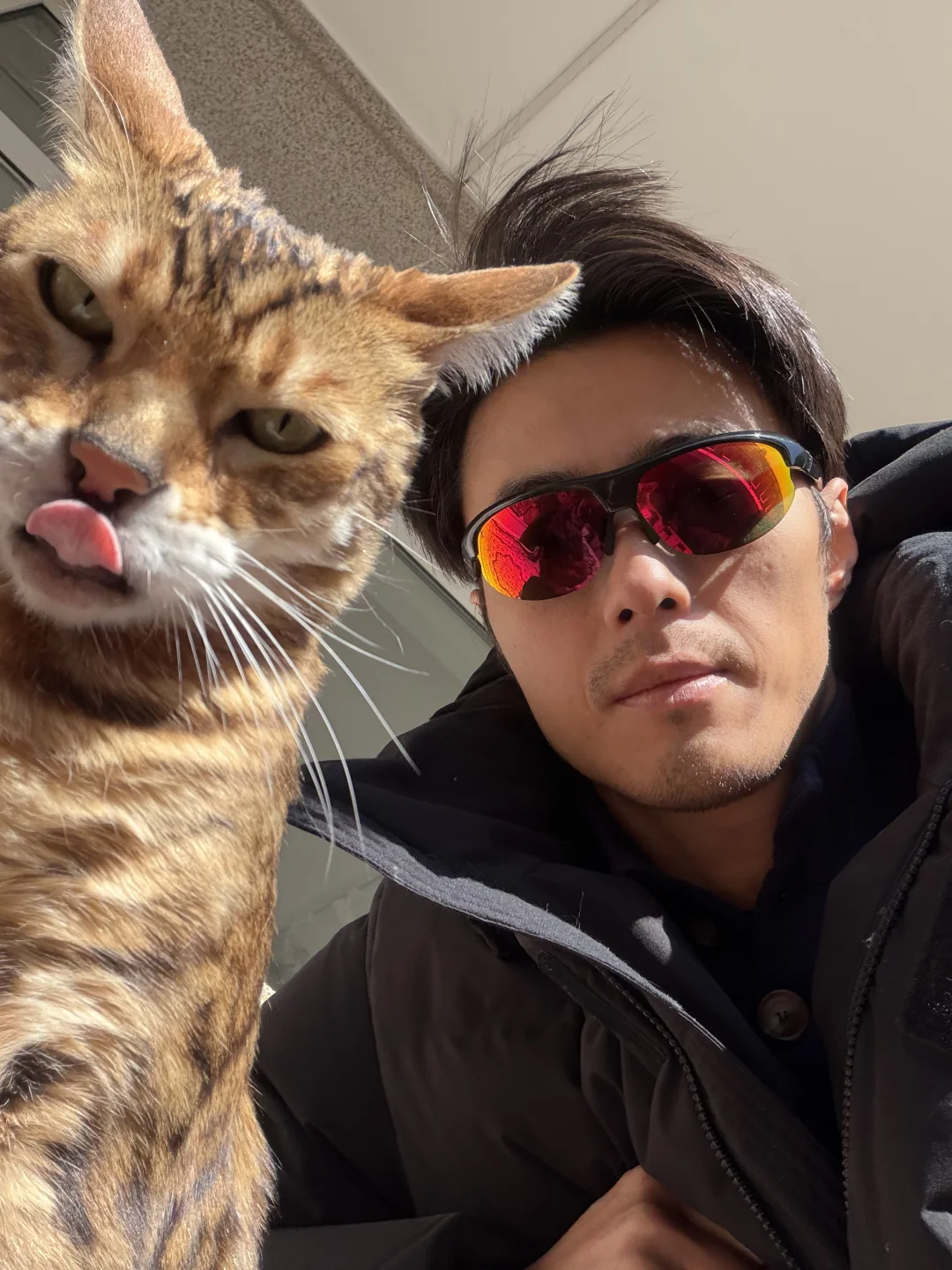 悄悄 马年 🐎要马不停蹄么？