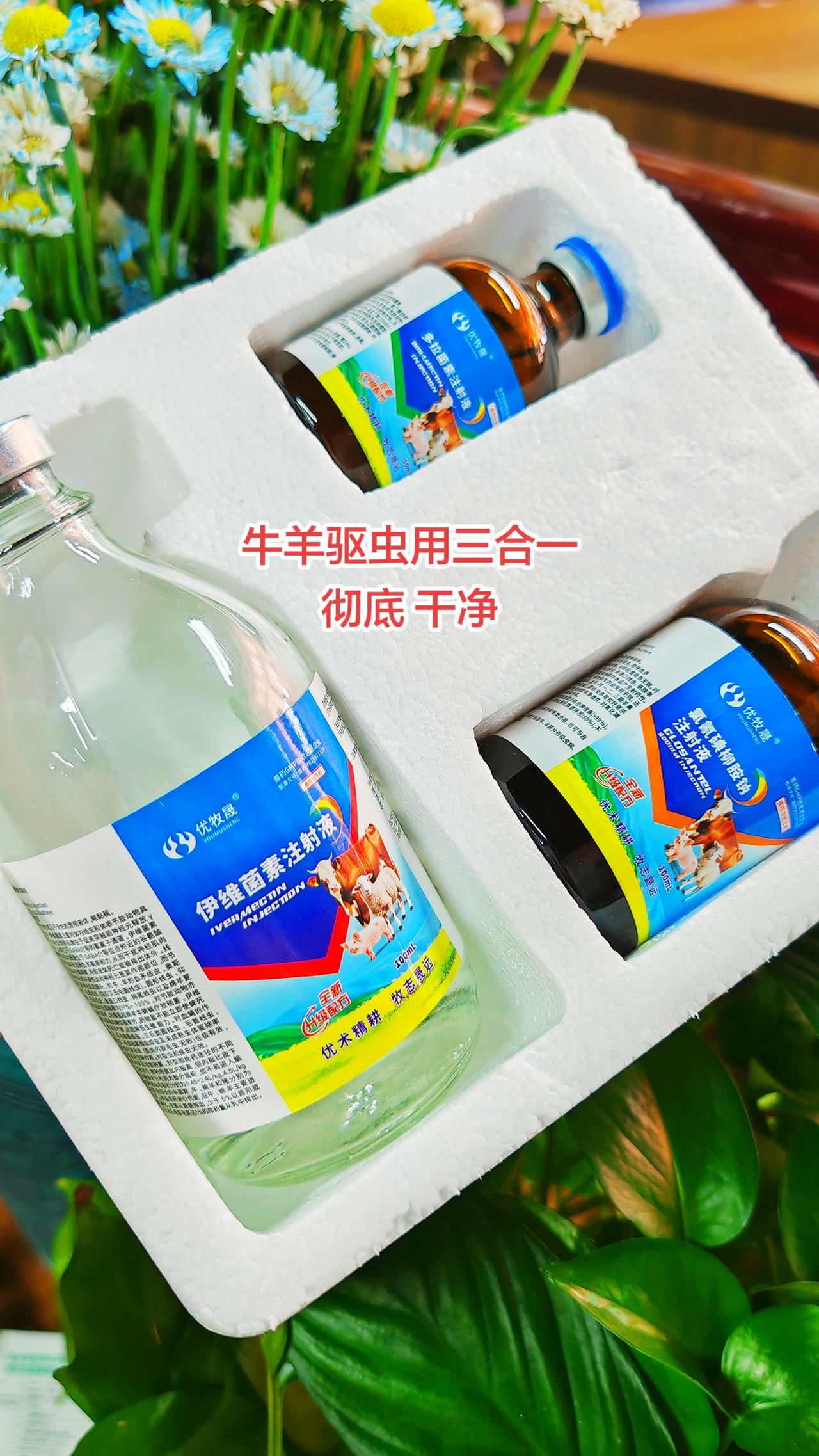 养羊人 农村养羊 牛羊驱虫