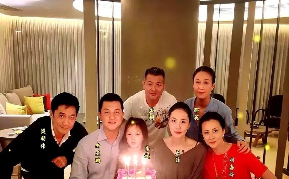 镜头切到蛋糕前十七刀。
王菲素颜像把未开刃的刀，沉默能刮出冰碴儿。
李亚鹏的笑还