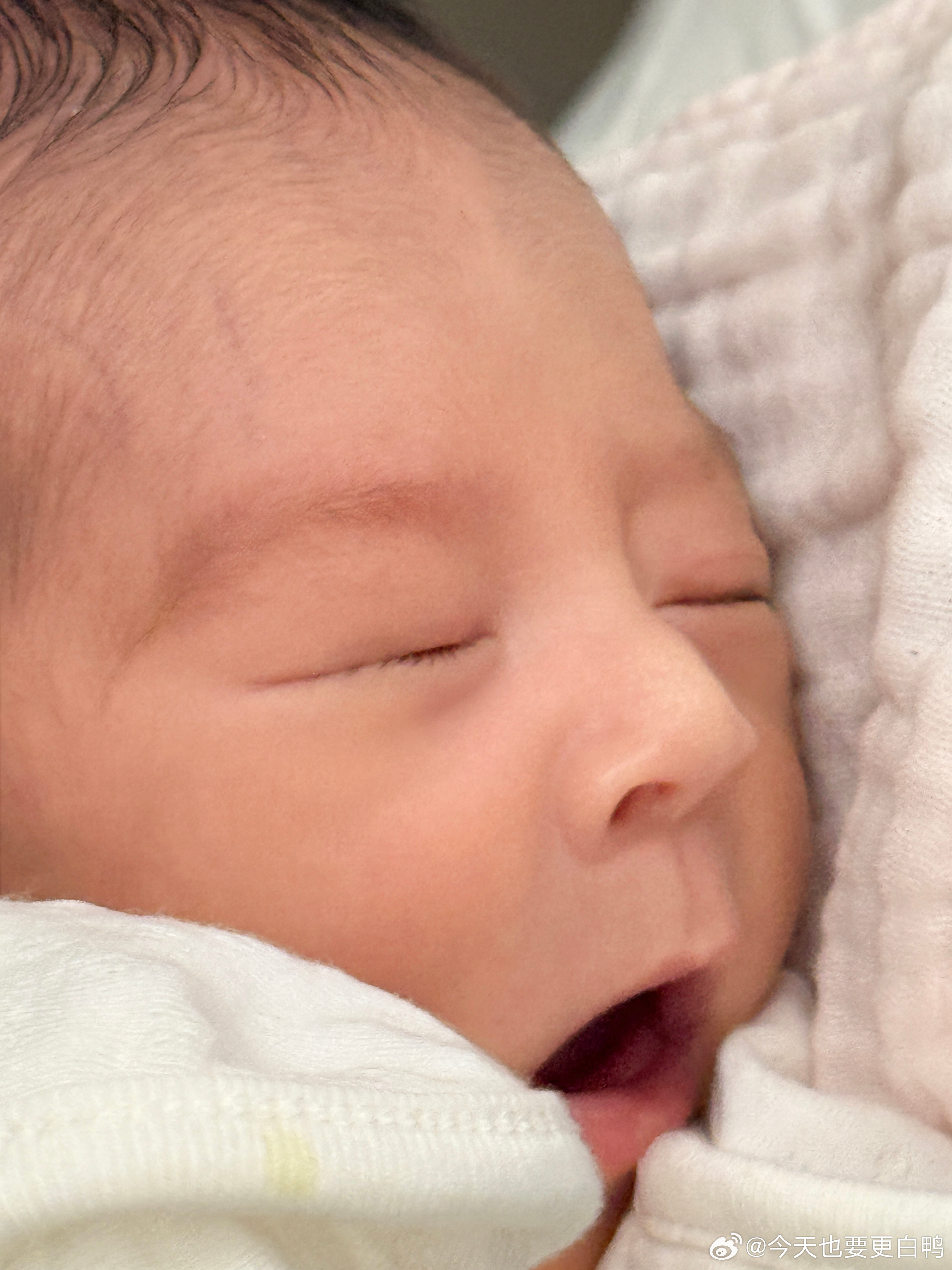 梦见什么了呀我的开心果