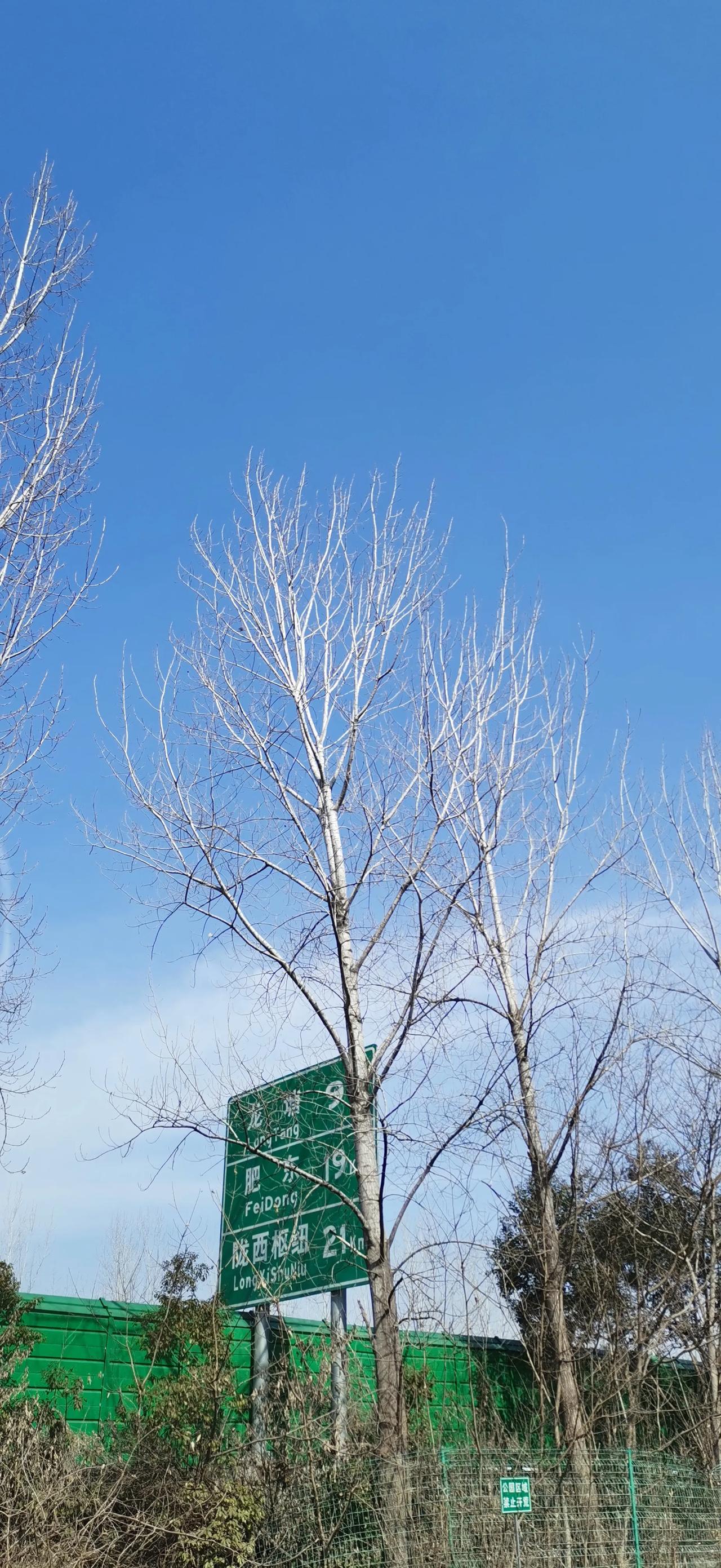 分享随拍景色
