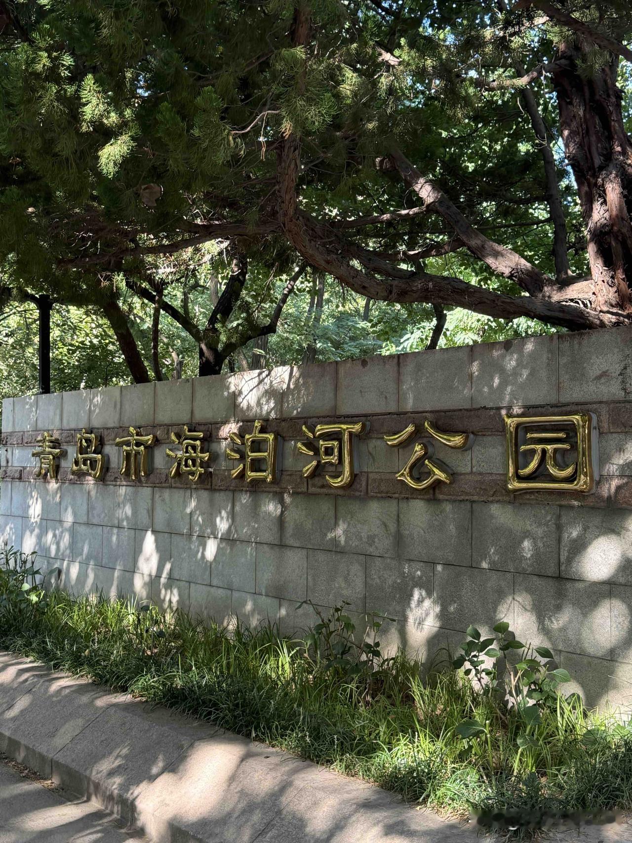 期待已久的青岛民韵飞歌艺术团休伏一个月9月3日上午九点在美女主持的祝福声中正始开