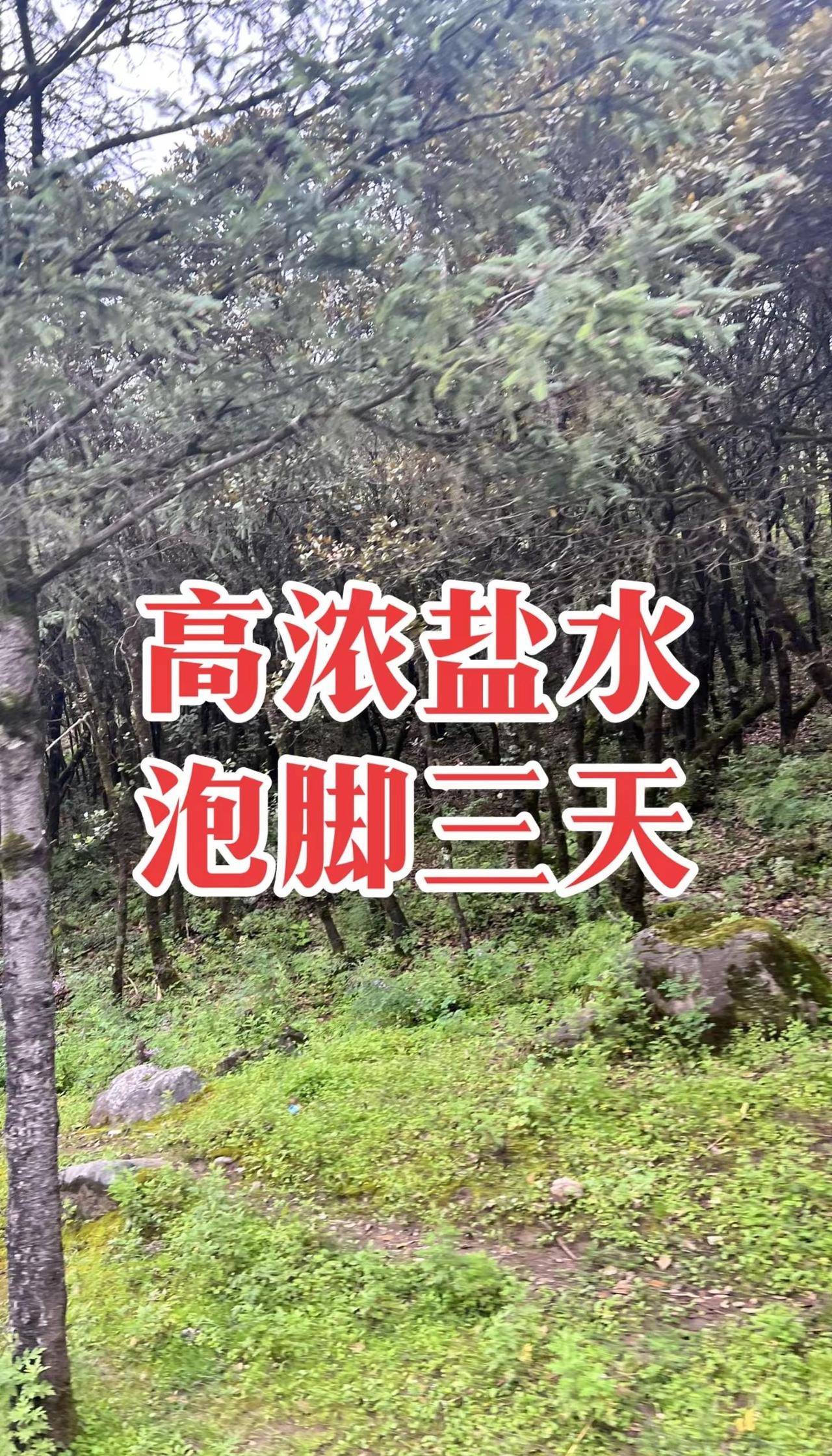 史诗绝杀，新王登基！2026斯诺克世锦赛诞生全新历史！在克鲁斯堡剧院的巅峰终极对