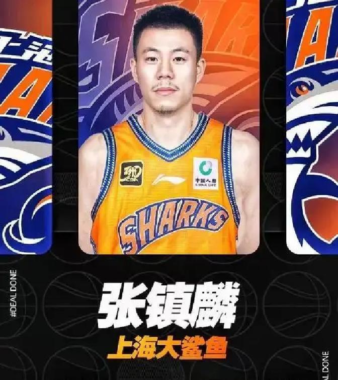 上海男篮这回下血本了。砸了据说五千万，把辽宁队的明星前锋张镇麟给弄来了。目标很明
