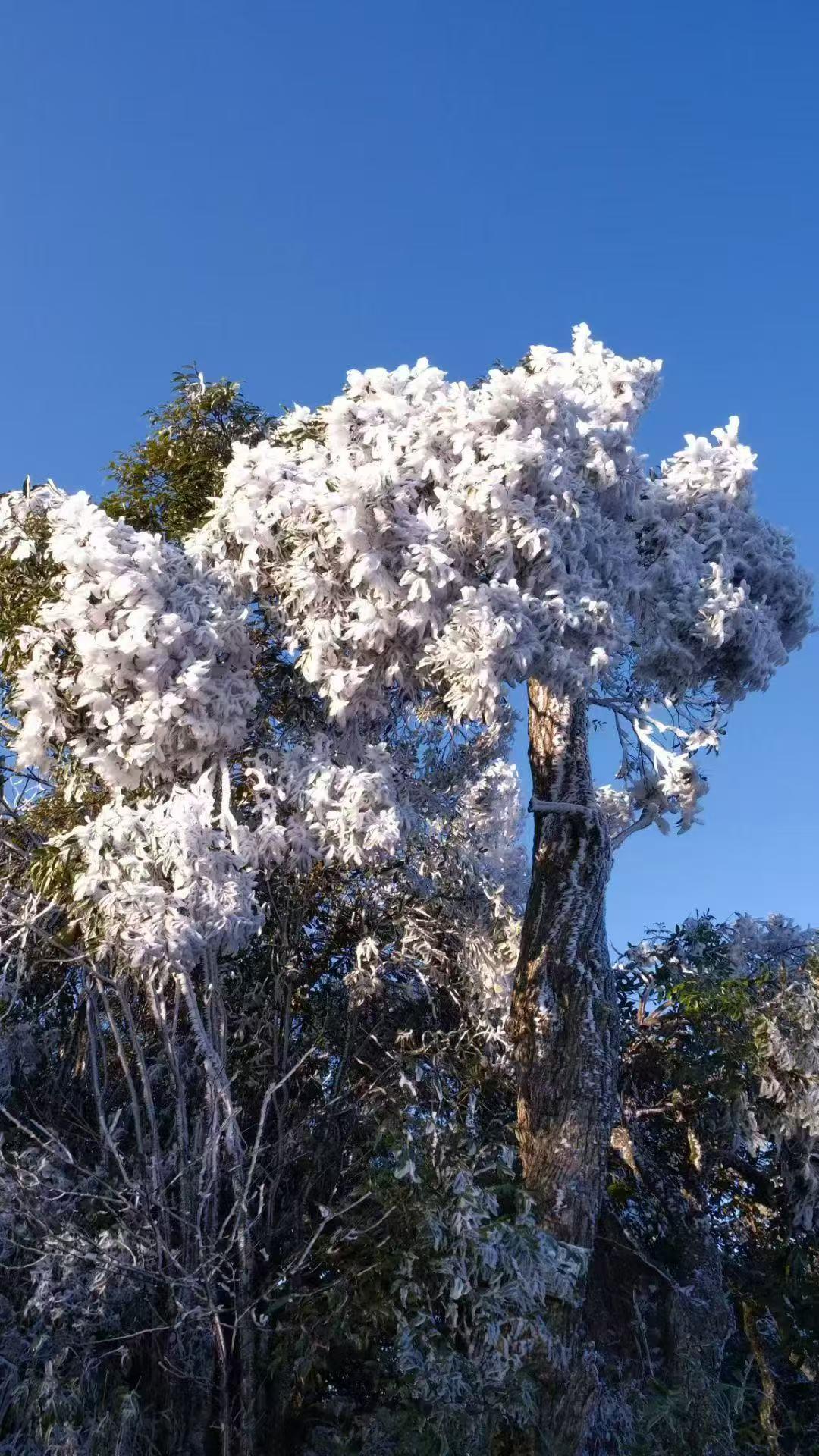 把过往的遗憾化作铺垫，把当下的努力当成阶梯，慢慢来，谁还没有一个努力的过程，前路