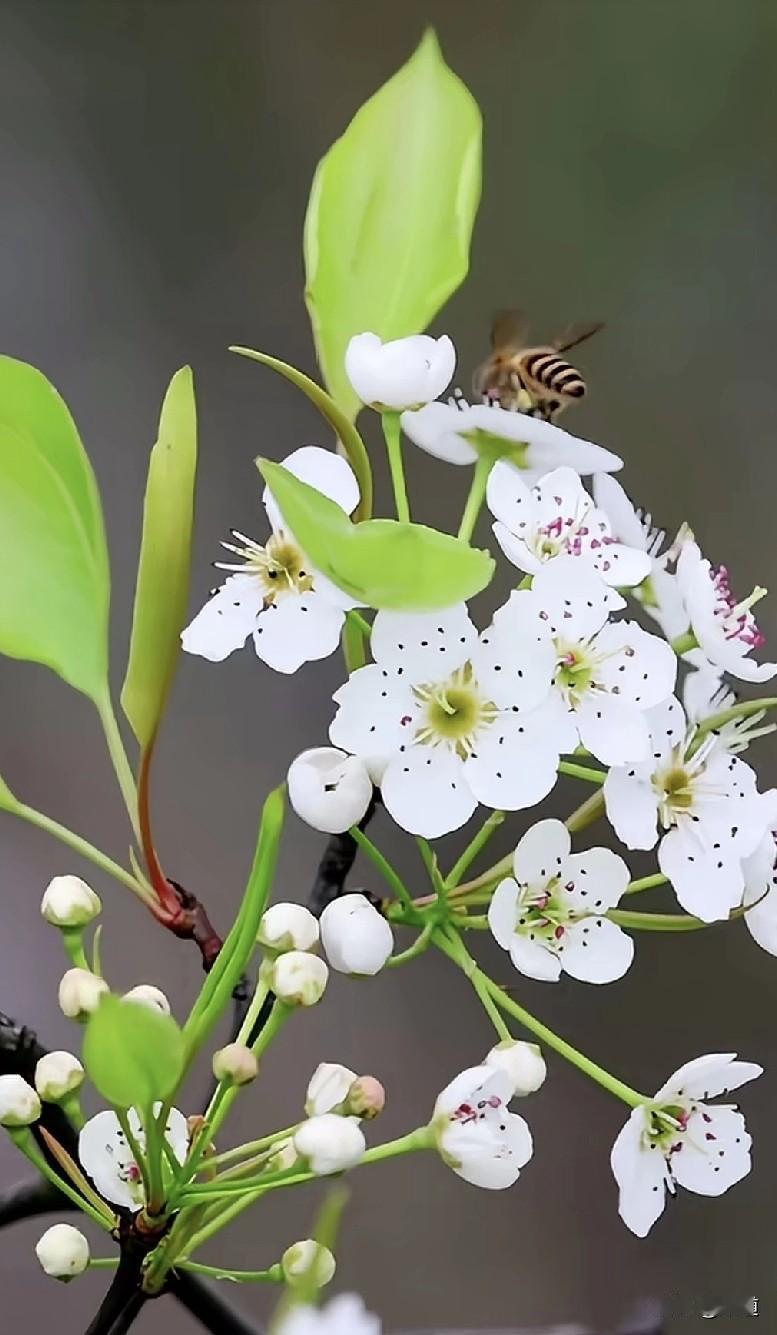 究竟什么人才适合结婚？就是真修行人，剩下的都不适合，因为偶然突发事情太多了，尤其