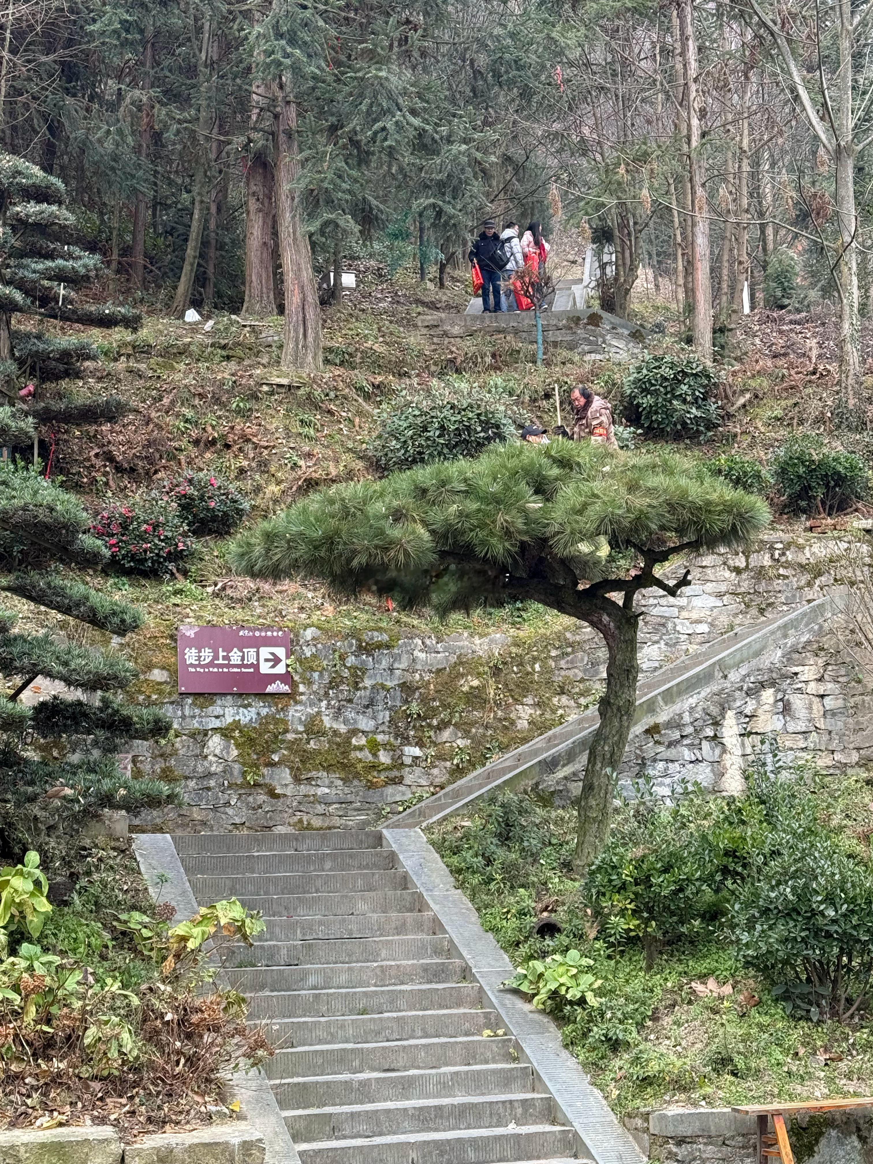 煮酒今日  山高路远，心安即是归处。走了山！看了景！静了心！许了愿！  