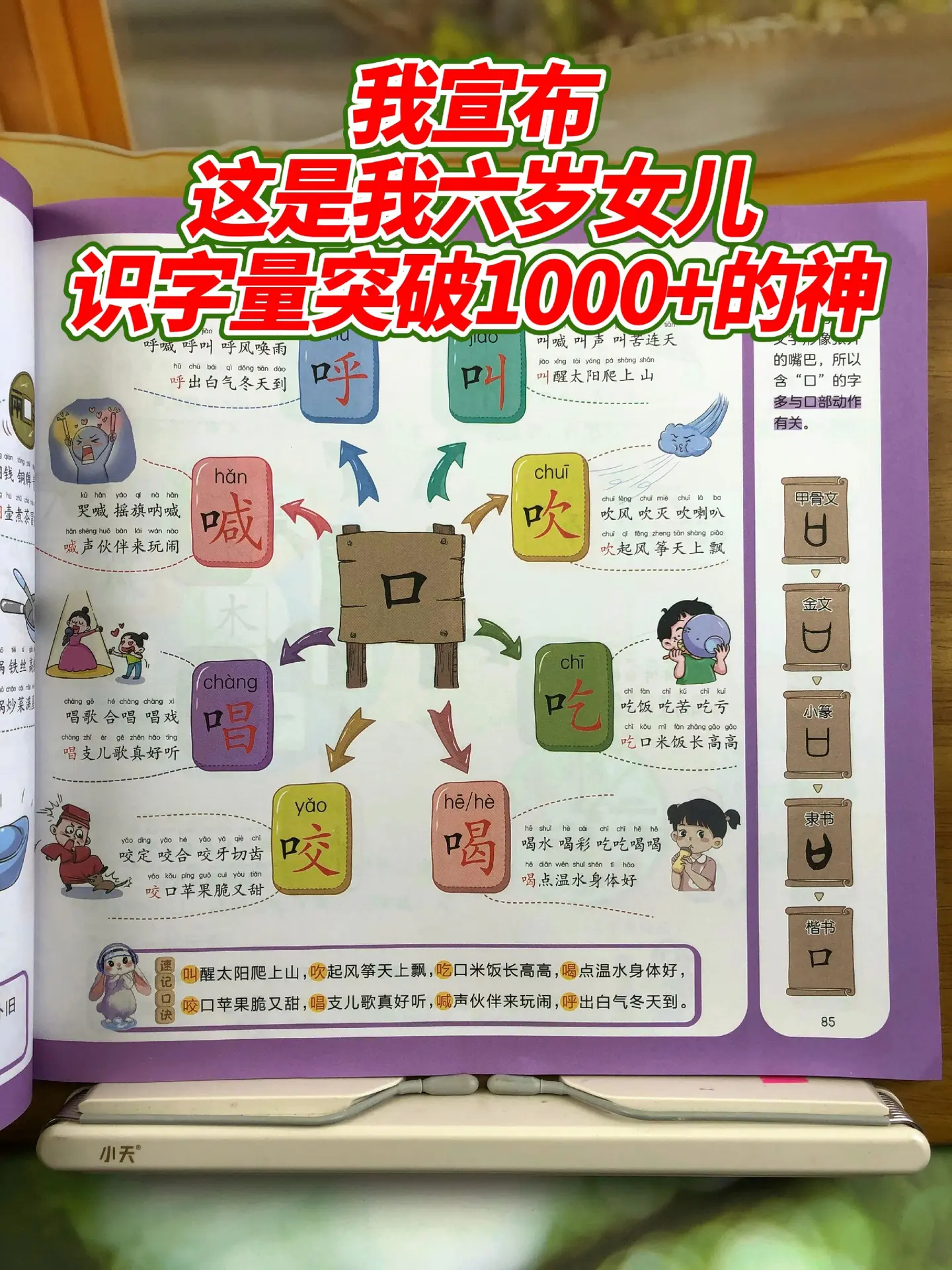 识字是语文的基础，用这套《识字原来这么有趣》，配套识字口诀朗朗上口，根...