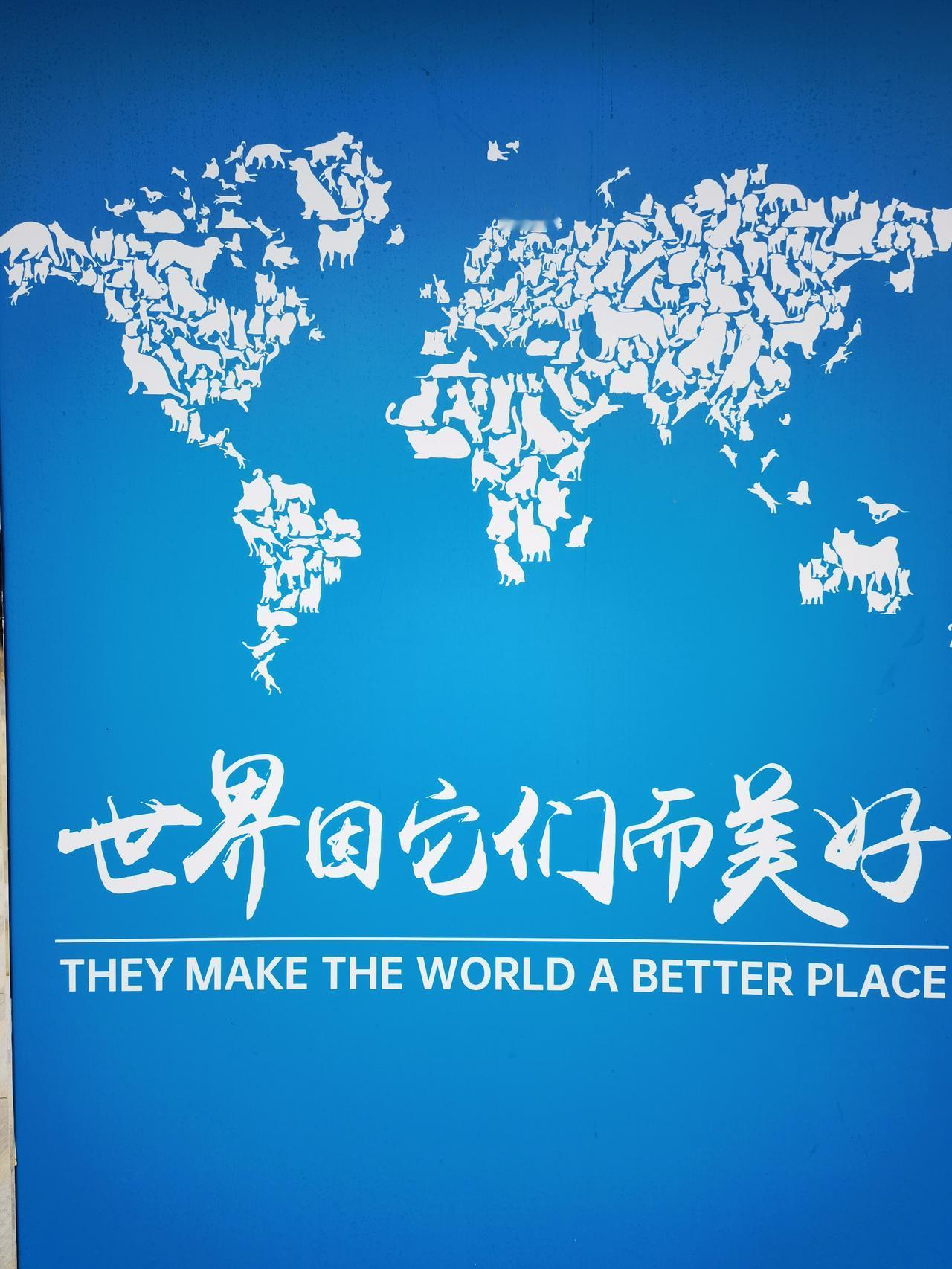 宠物经济方兴未艾，值得关注