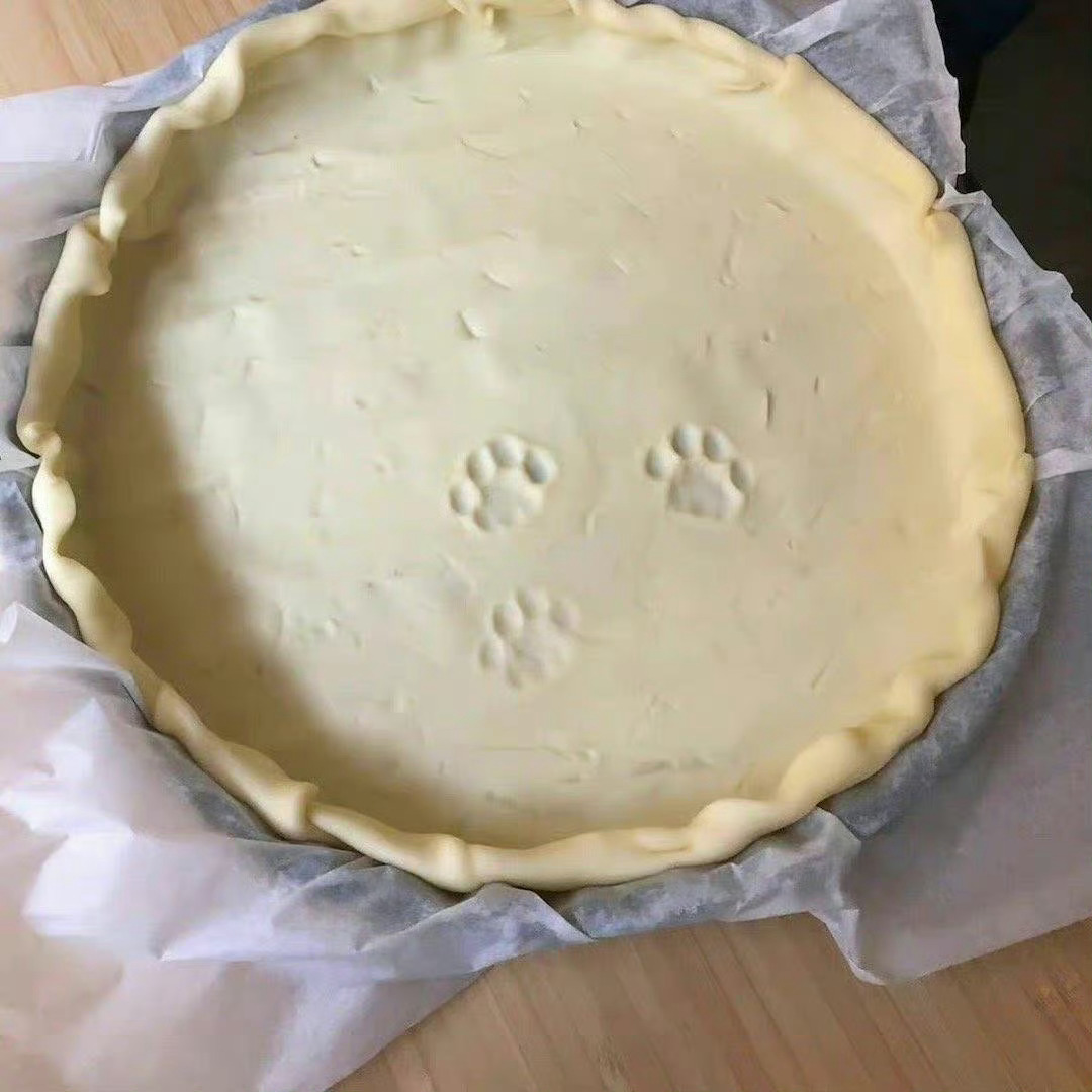 这只小猫咪觉得自己做的毫无破绽 但是猫爪子印还留在上面 我想惩罚他 他却卖萌 我