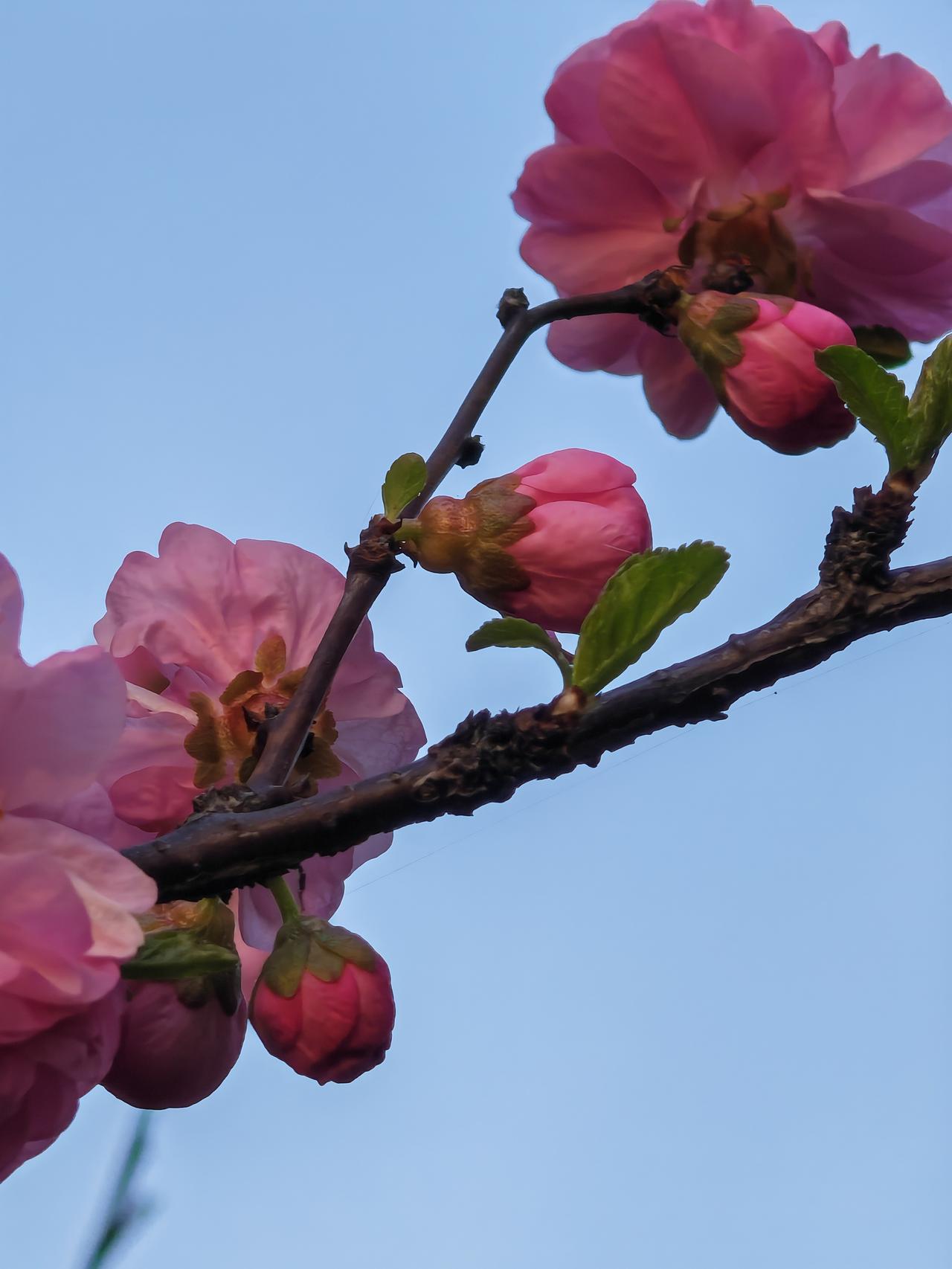 司空贾充的秘书（司空掾）韩寿英俊潇洒，玉树临风。

贾充每次宴请宾客僚属，他的小