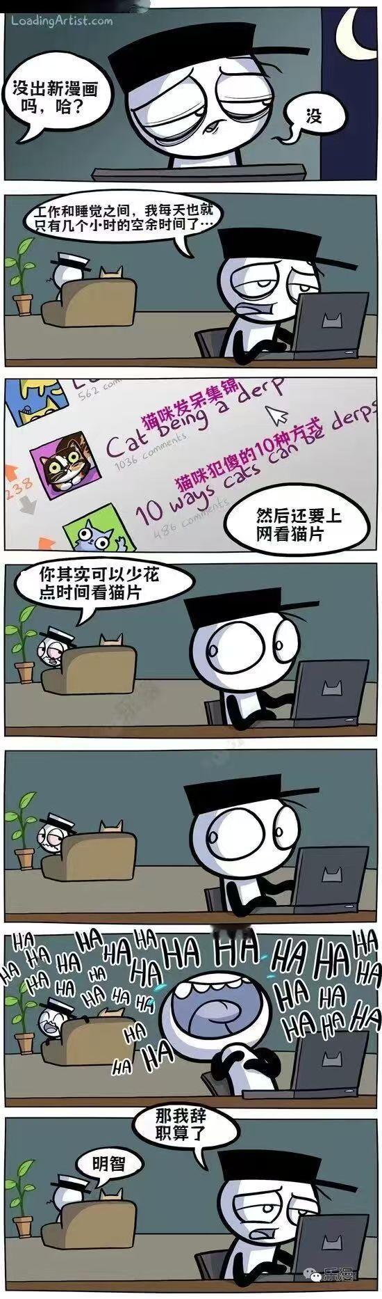 我必须要看猫片 