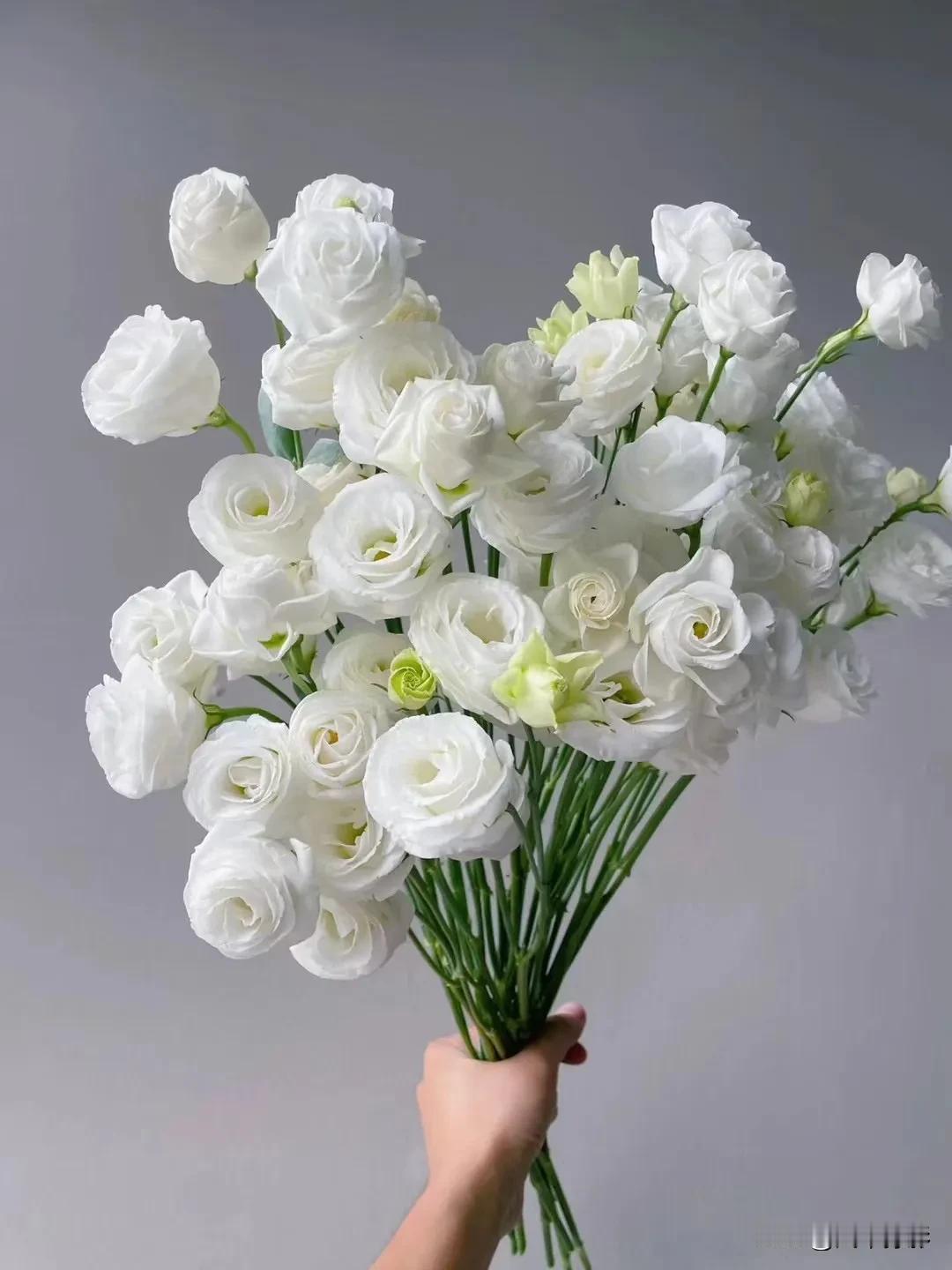 全世界都在劝全职妈妈出去工作，说经济独立才能人格独立，说要给孩子树立好的榜样，说