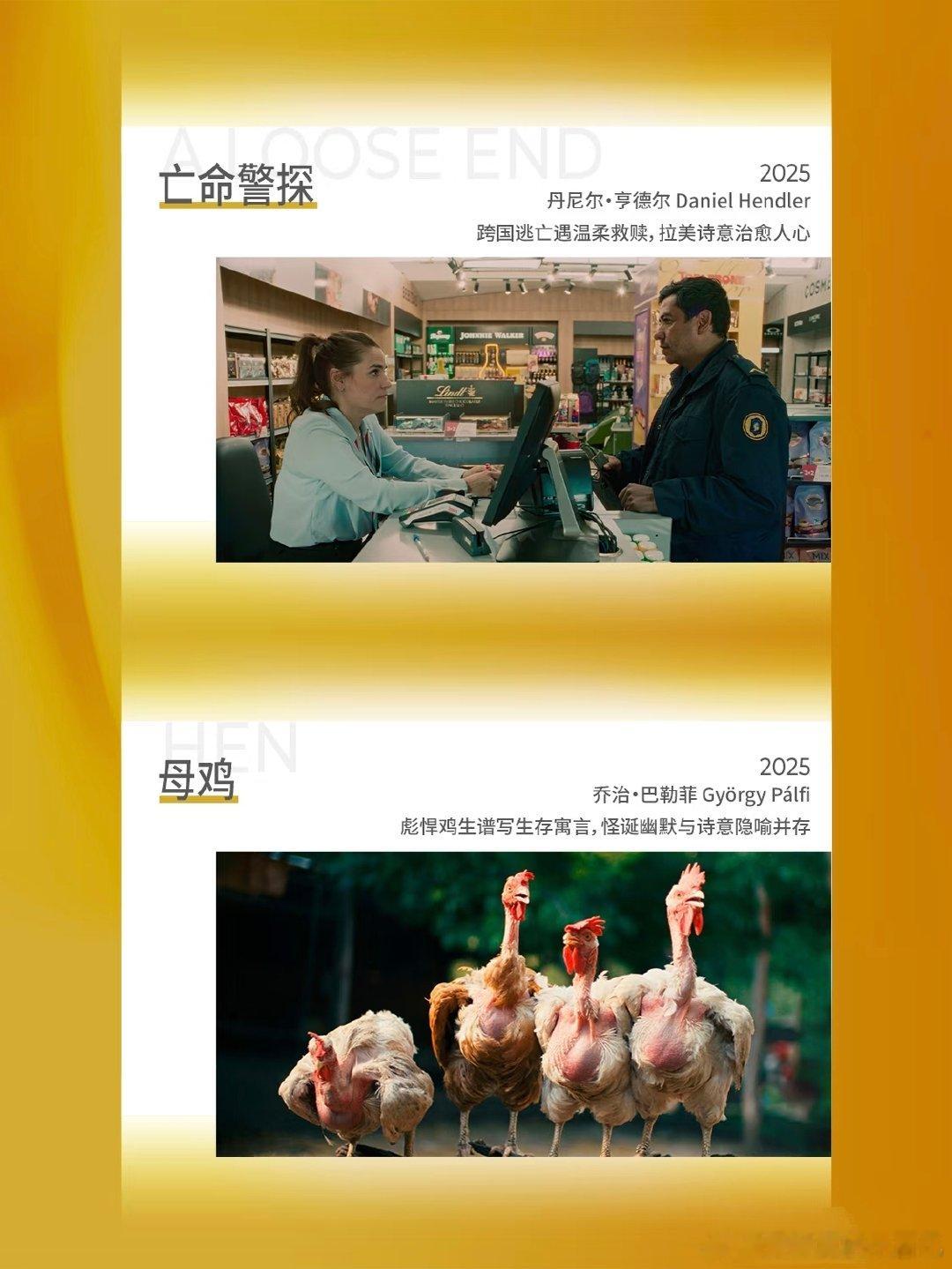 合肥也能零时差看上海电影节不用奔赴上海，合肥影迷零时差同步解锁上影节佳片，在家就