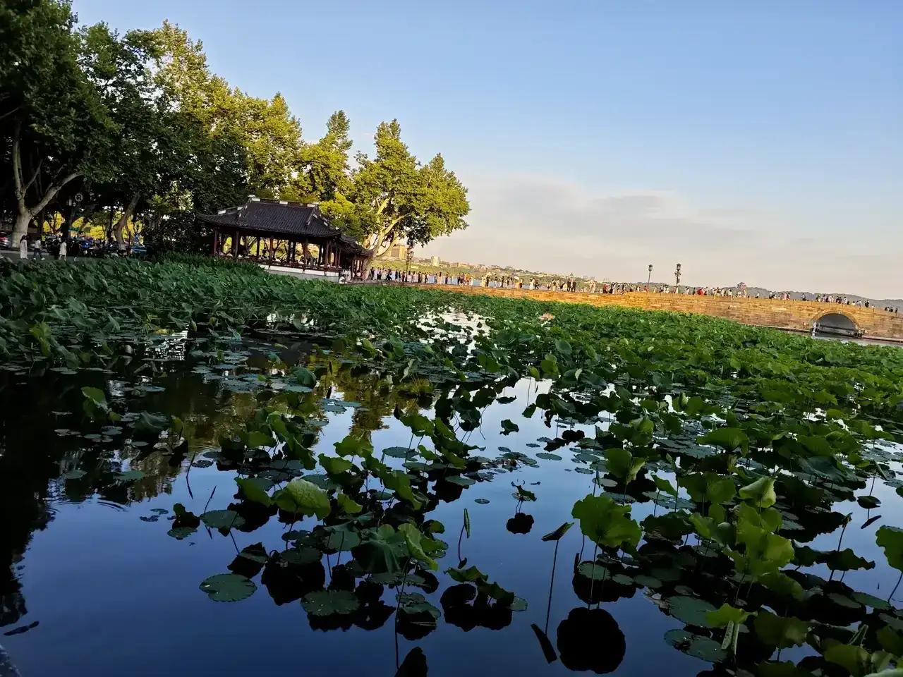 西湖断桥美景，如诗如画，漫步断桥湖畔，邂逅浪漫时光。夏日的风拂过断桥，满眼繁花似