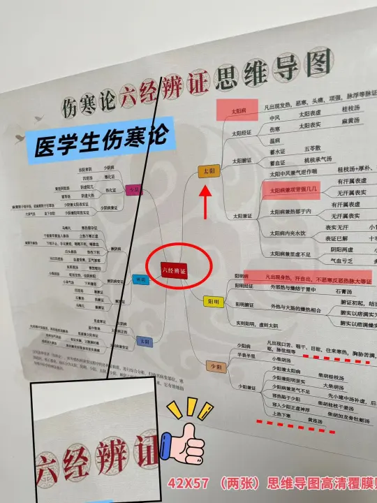 医学生伤寒论思维导图