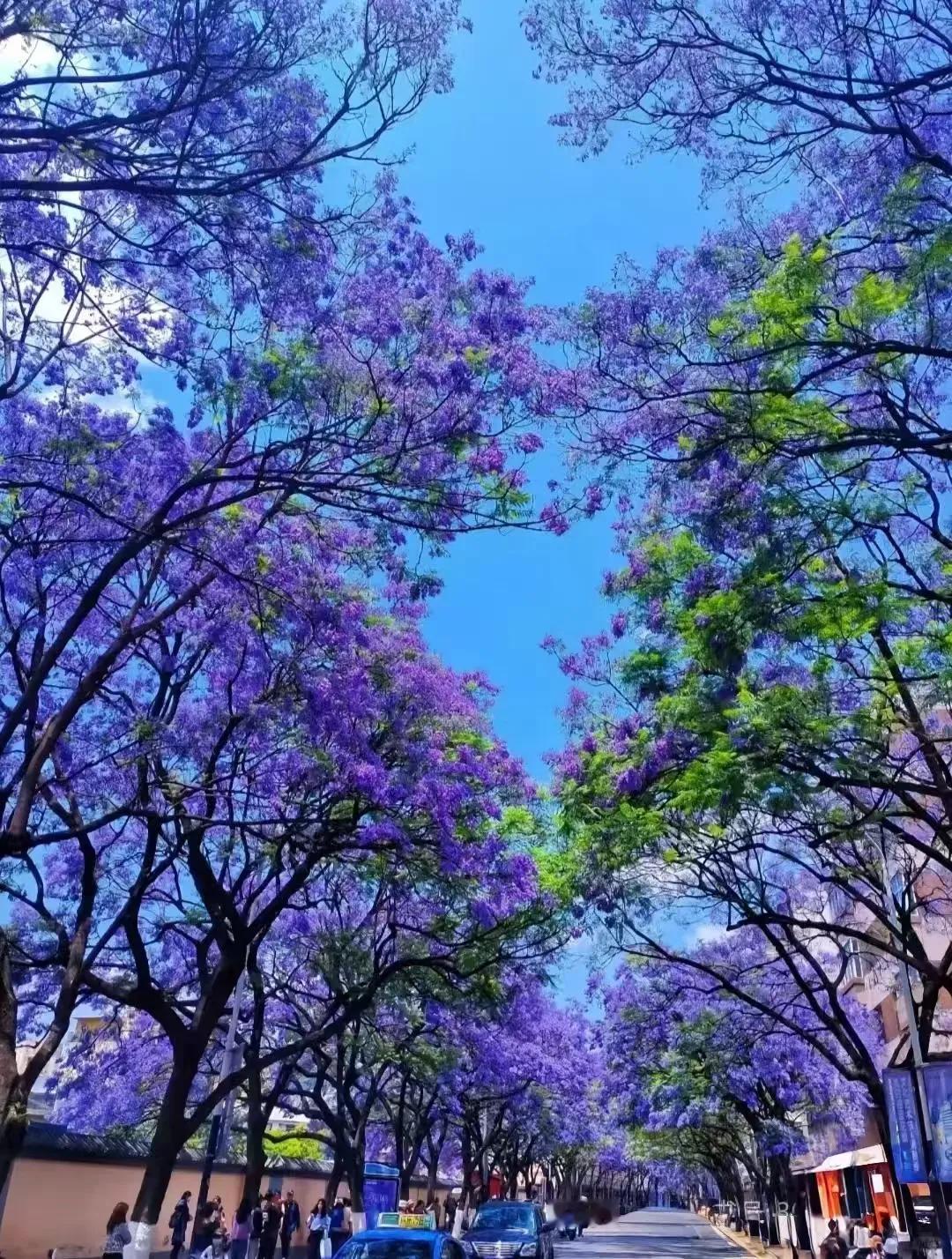 中中年女人最高级的美容

不是昂贵的护肤品

不是华贵的衣裳

也不是名牌包包