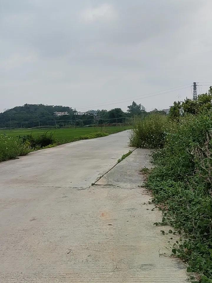 上周回乡下外婆家，沿着屋后的小路往山坳走，随手拍了几十张图，连滤镜都没加，发朋友