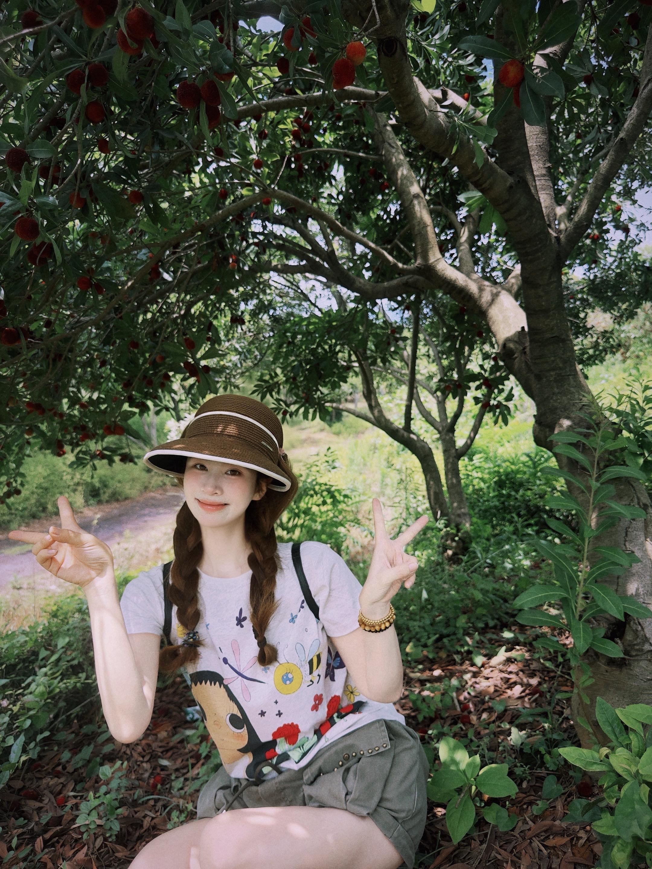 🌳夏天走进杨梅园🧺。