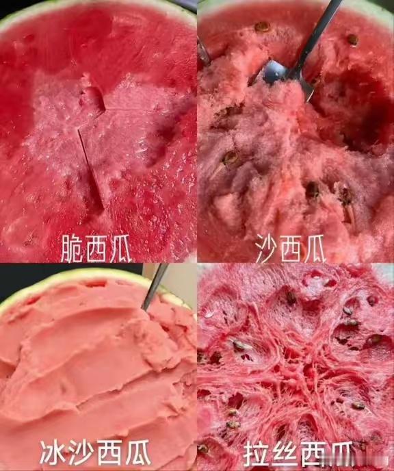 哈哈，西瓜的冷知识。[鲜花] 