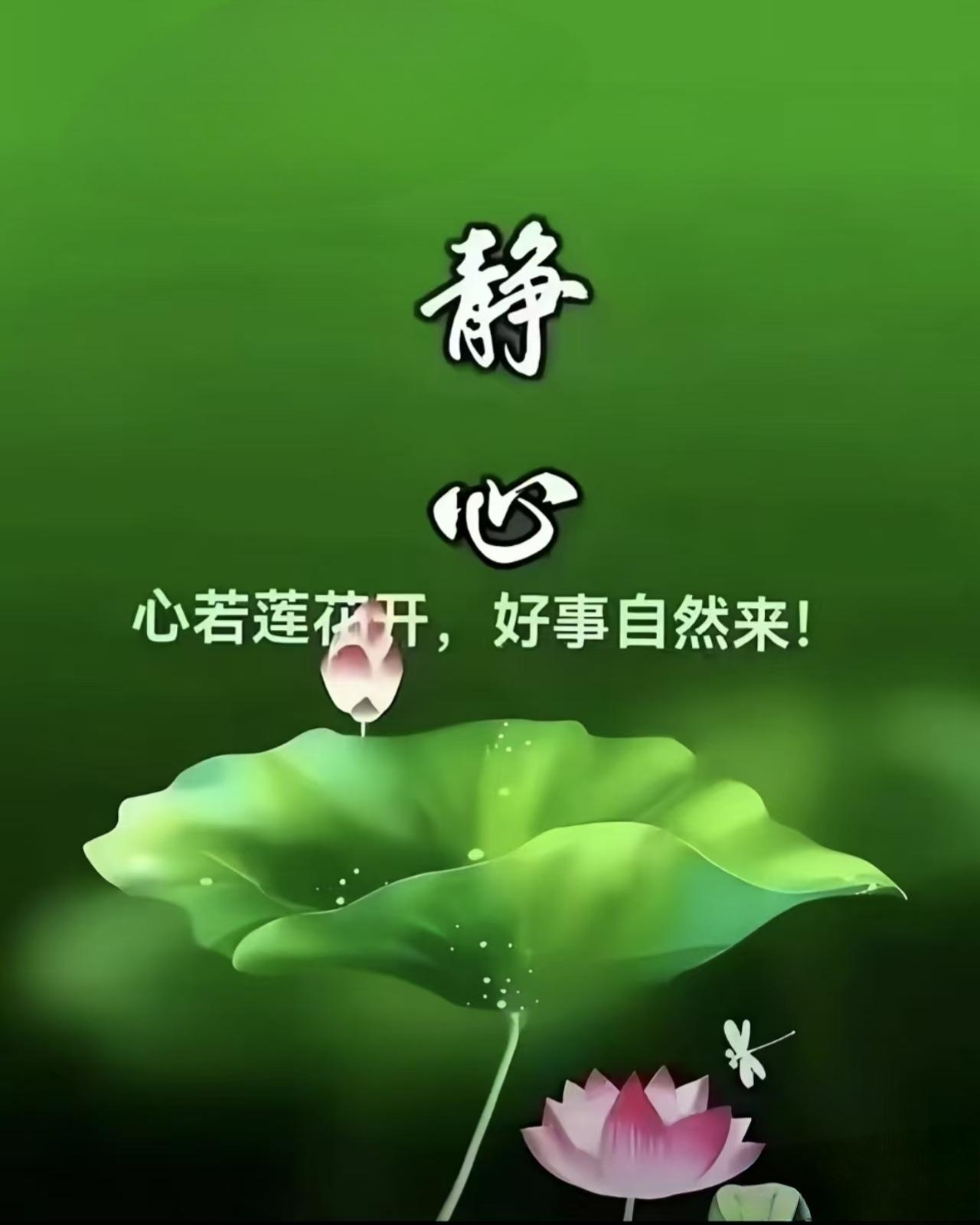 孝的最高境界是什么?
孝之至境，不在供养，而在长久顺承父母心意，护其心安无忧。