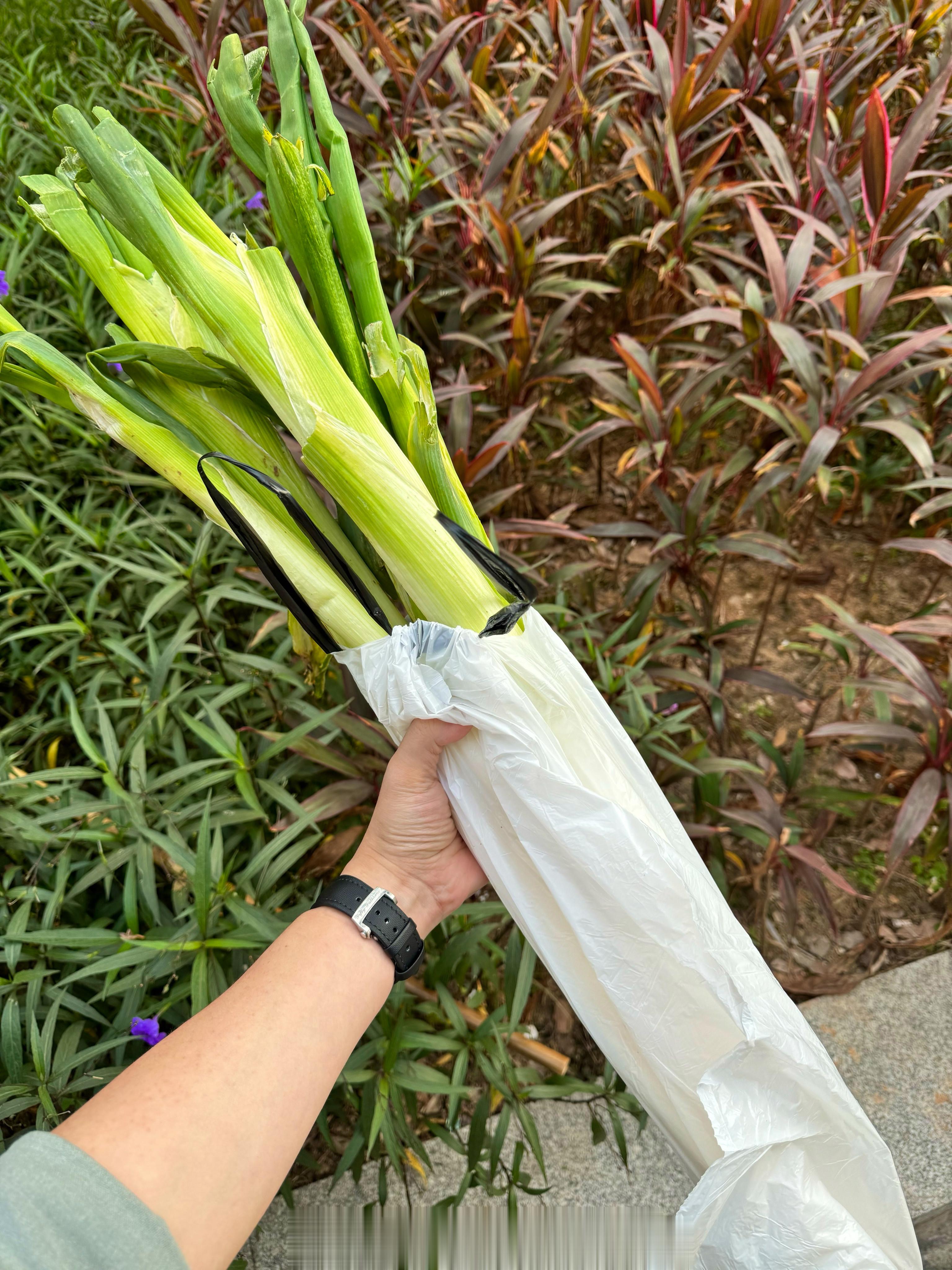 记一些讨债经历。早上不是说汪老师欠我一个围棋盘吗，我讨了几年也没讨回来。我今天下