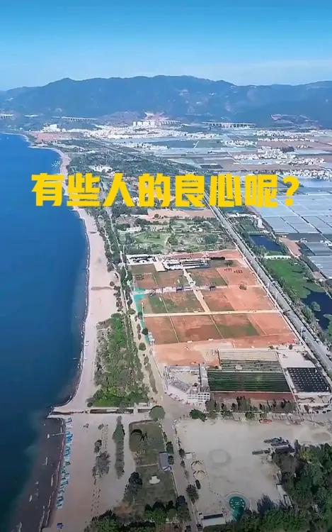 很多人都忽略了，抚仙湖演唱会还有一个关键角色要严惩！

澄江文旅、澄江国土资源自