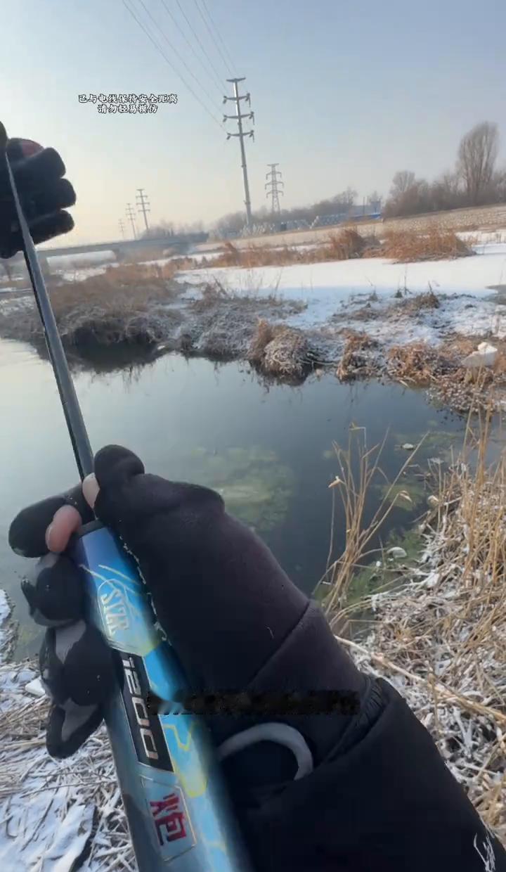 抄起12米长竿，直奔40公分浅水区——这是今年冬天我见过最勇敢的“自杀式”钓鲫。