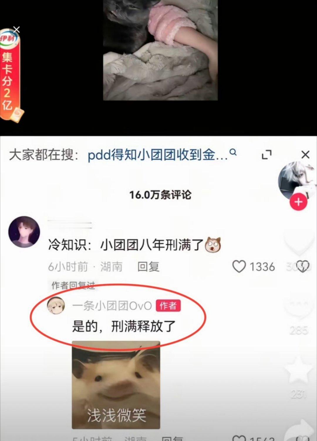 一条小团团自称刑满释放 这个玩梗？还是真的？ 