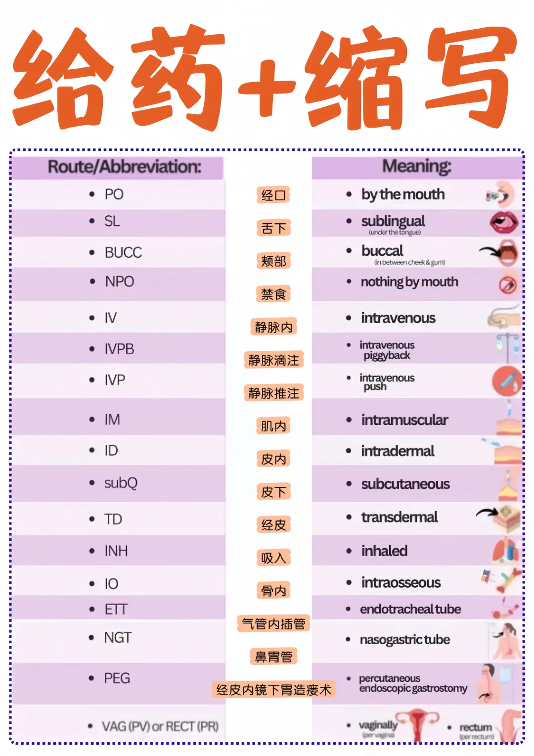 备考RN/给药途径缩写！！学！！单词