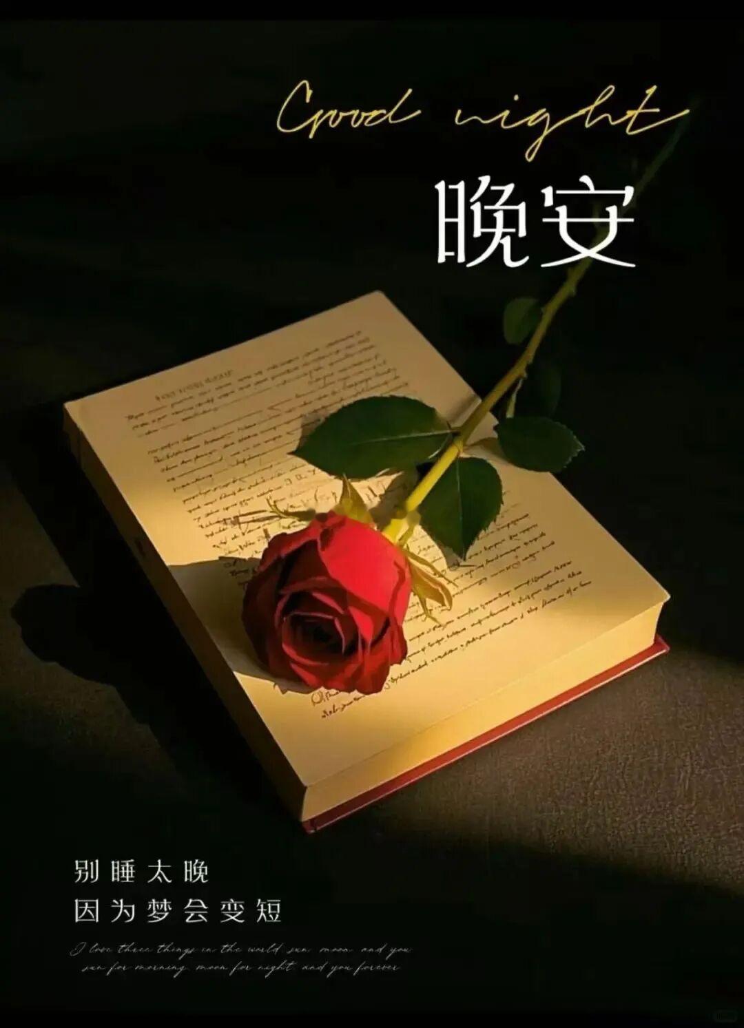 一天辛苦，换一夜香甜，晚安，记得早点休息哦。岑先生