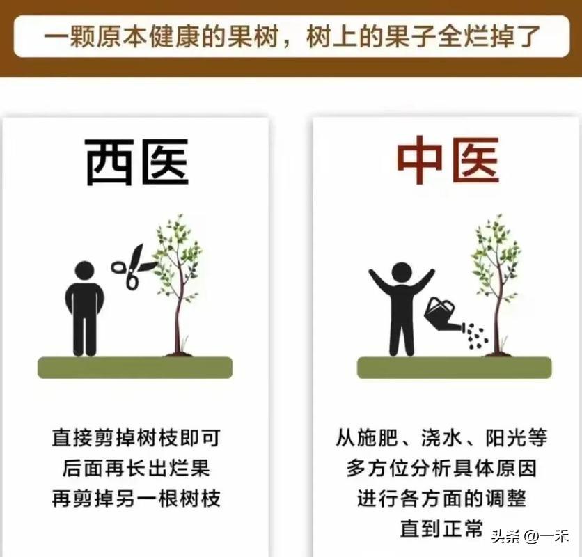 中医西医到底差在哪？不是草药和西药，核心逻辑完全不一样！
 
很多人以为，中医和