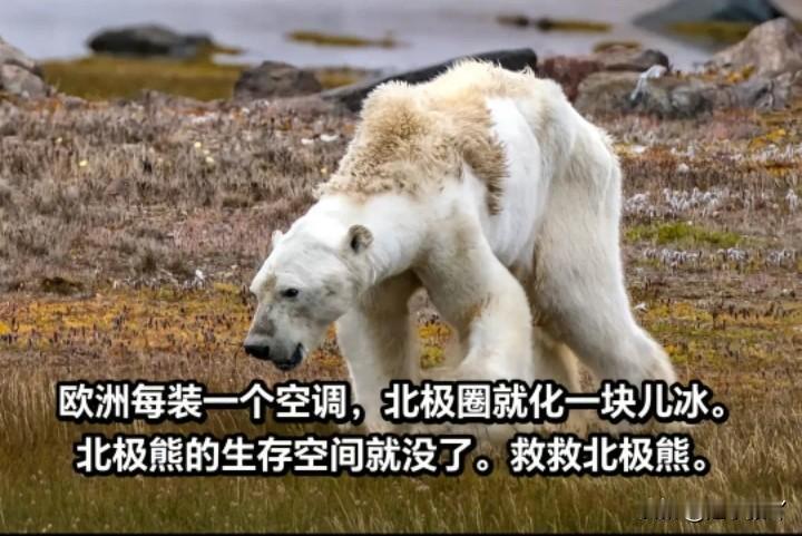 我牵头拒绝
欧洲人不应该装空调。