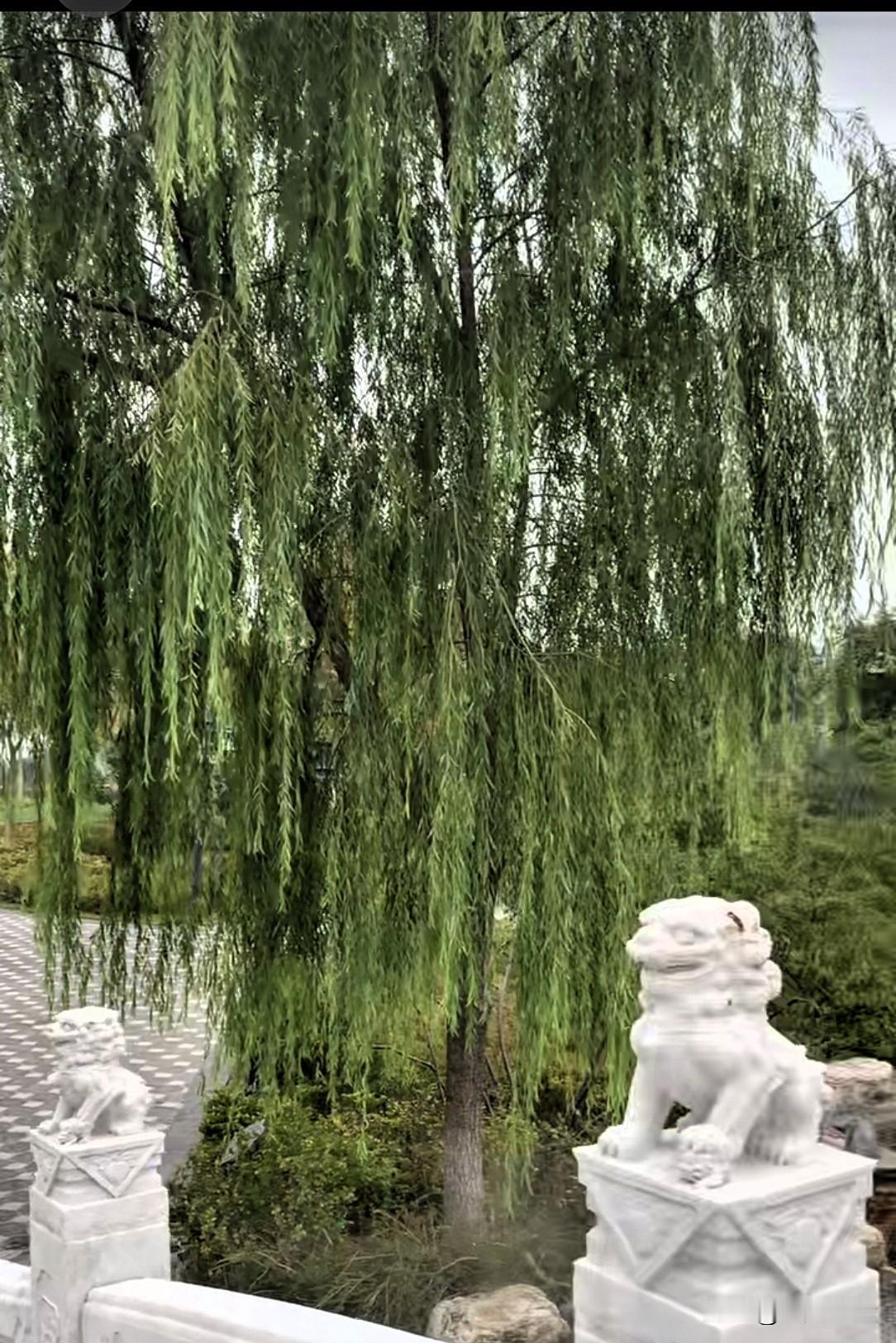 风调雨顺对仗什么最好?

🌊💦风调雨顺
我就来对一个：
🌿🌼顺风顺雨