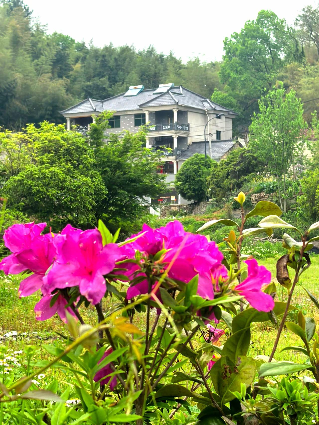 逆境不吐心中苦，顺境不忘来时路。别人只知道你翻越了那座山，却不知道你翻山的时候，