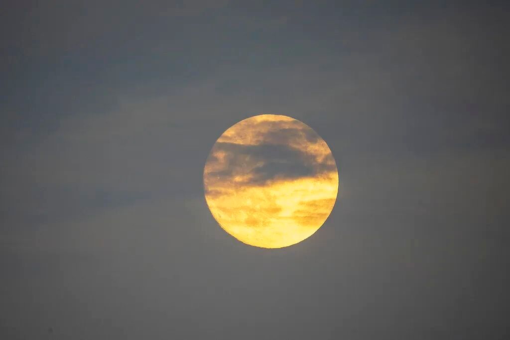 🌕中秋佳节，愿年年，常见中秋月，终是人团圆！中秋月满人团圆中秋快乐中秋佳节 ​