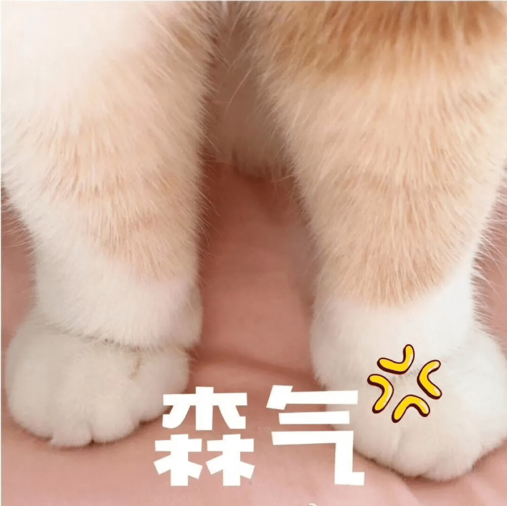 业内人士说虞书欣林一cp感很强  啊？这东西不应该观众来评判的吗？这热搜也太尬了