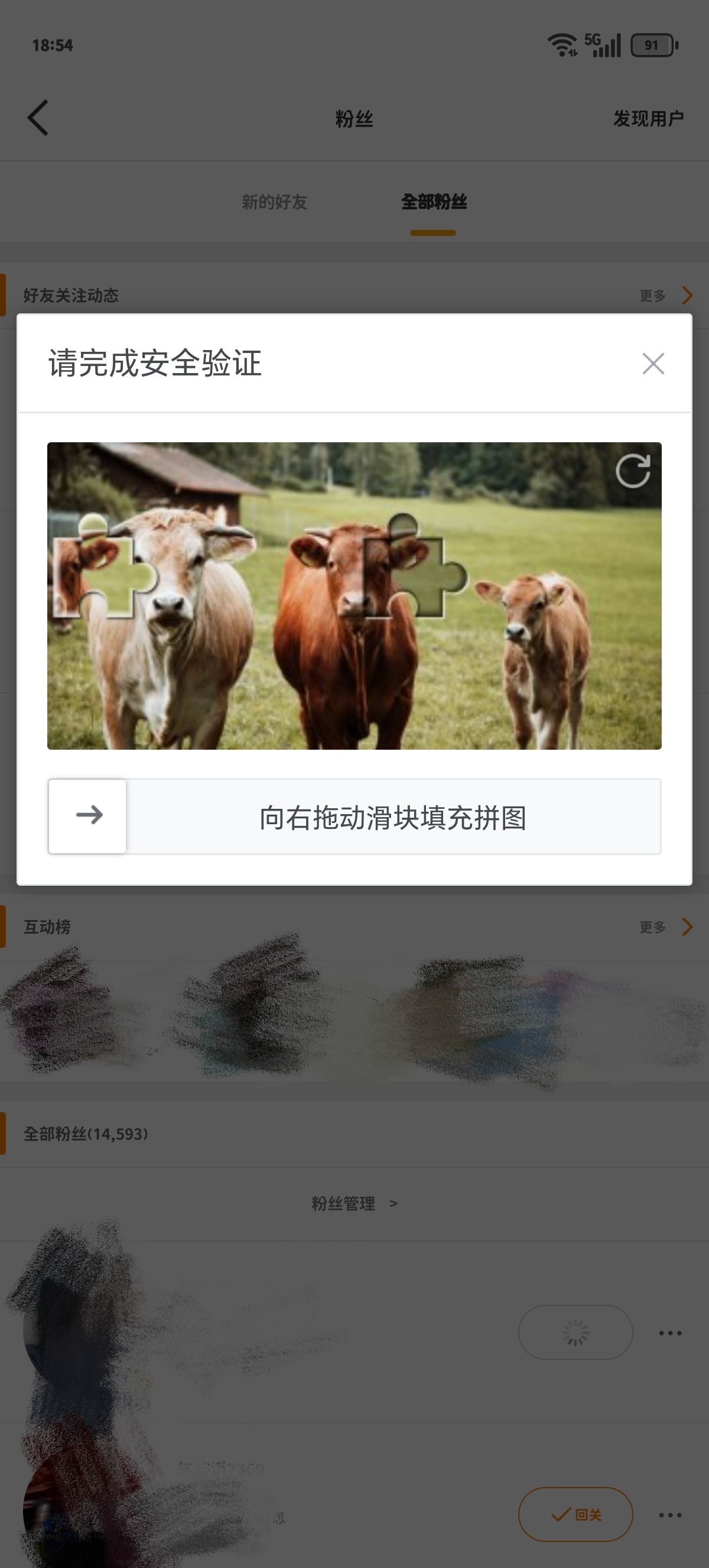 快来帮我善善 现在hg都要yz了