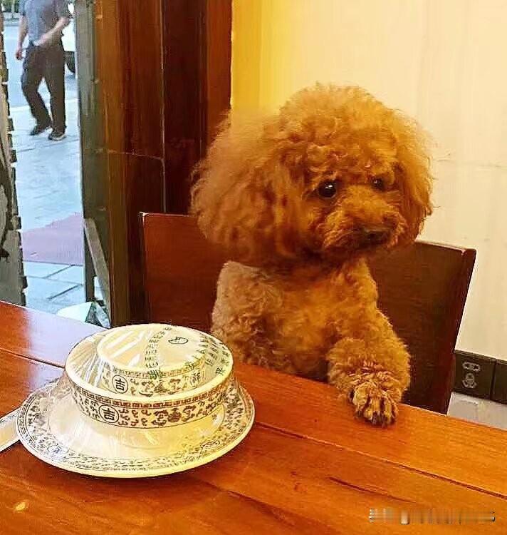 他是2012年7月28号出生的。
他聪明可爱，乖巧听话，从不乱跑。
他喜欢吃鸡腿