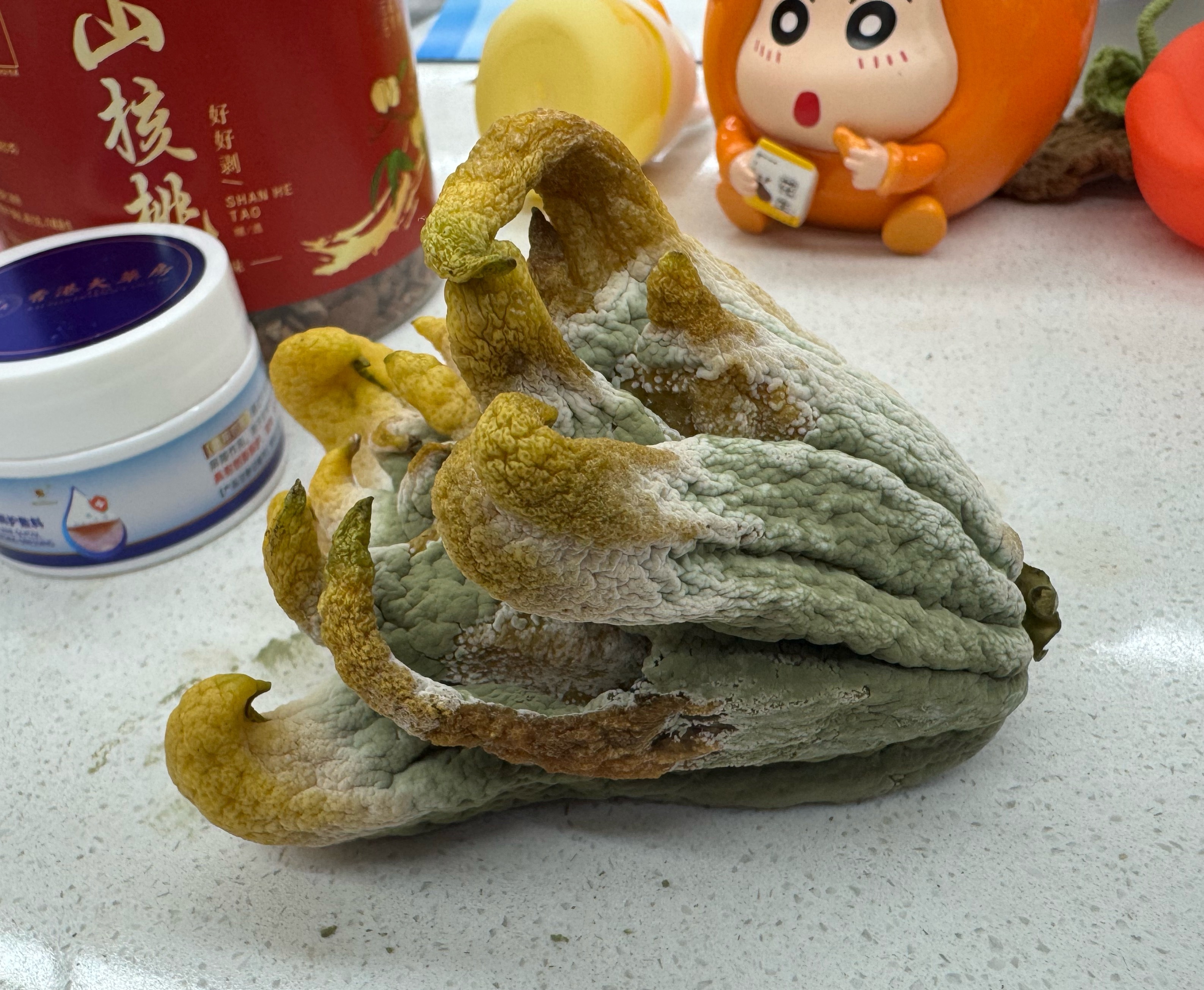 [泪奔]发霉了 ​​​