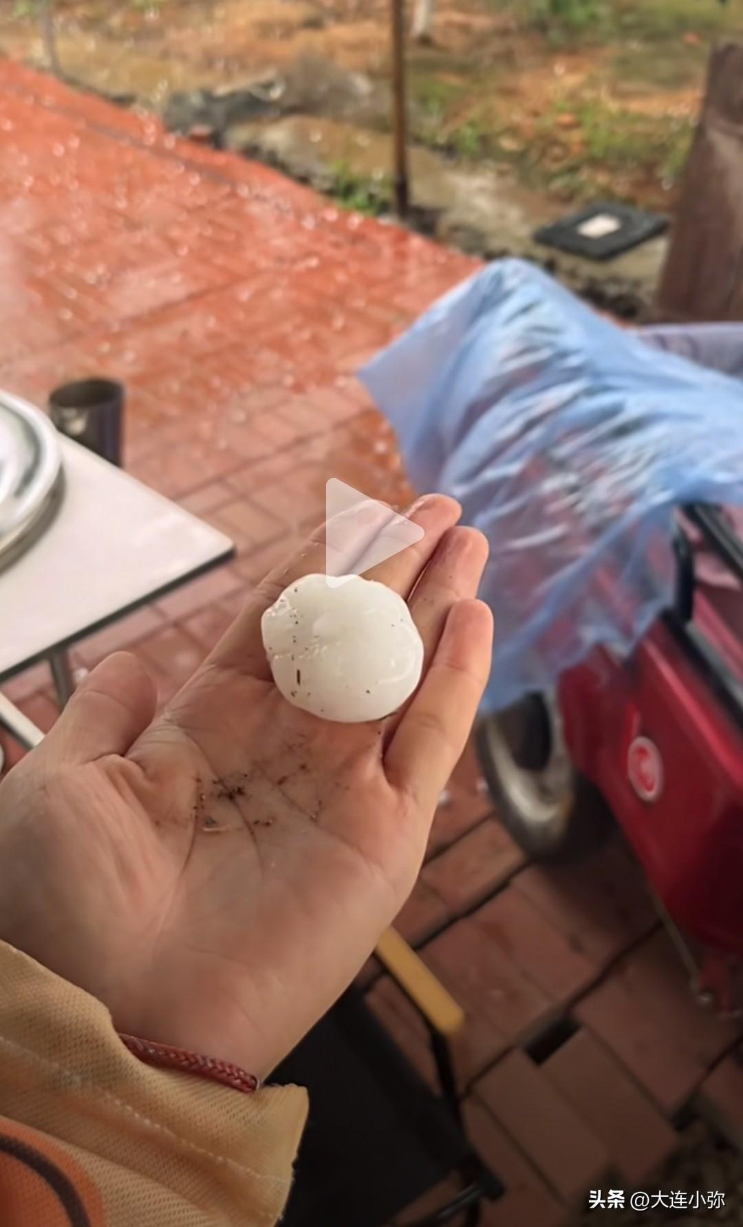 雪上加霜！大连连遭阴雨+又突遭鸡蛋大冰雹袭击，致使大批樱桃再遭重创！
 
6月9