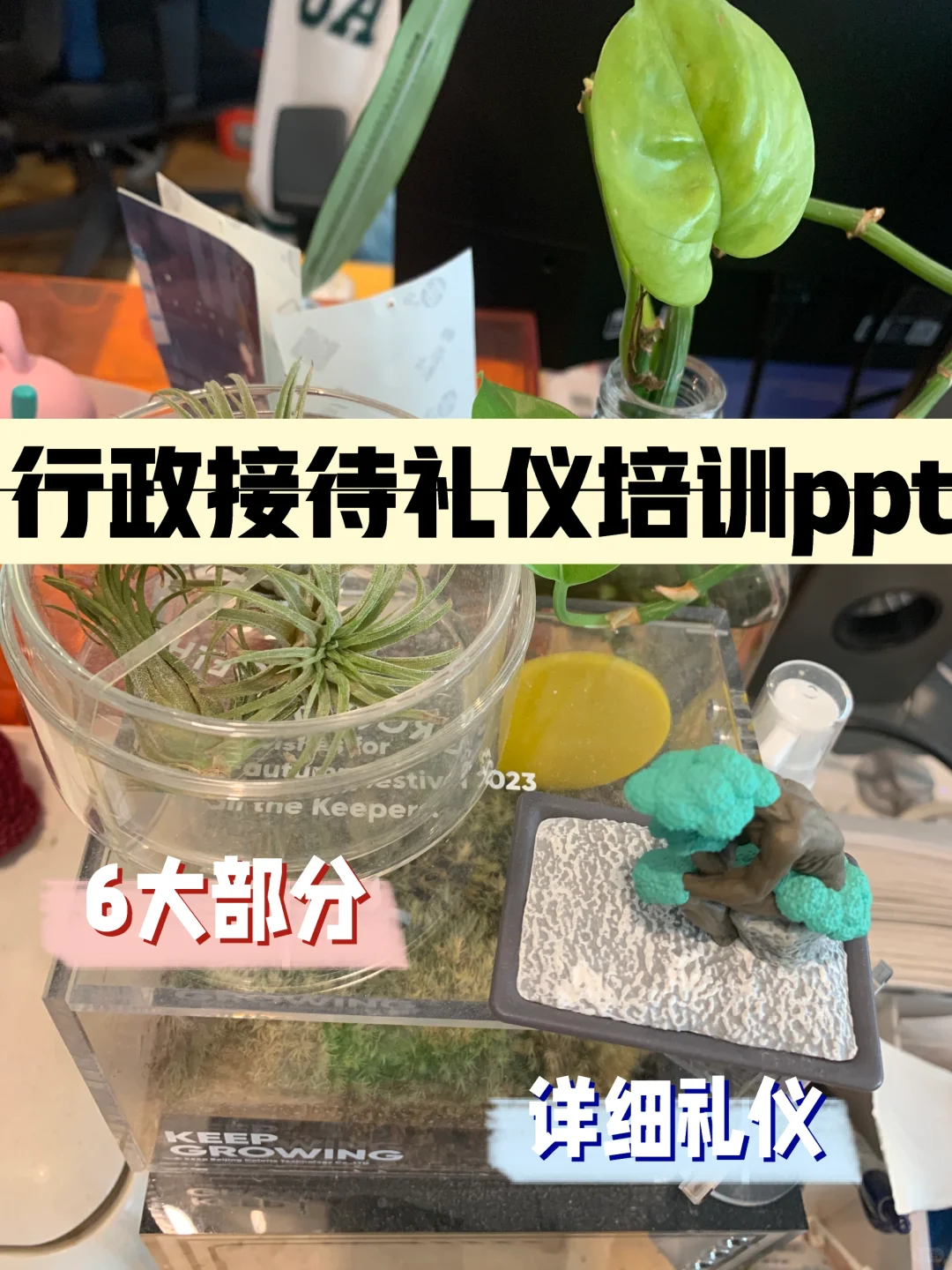 行政接待礼仪培训ppt