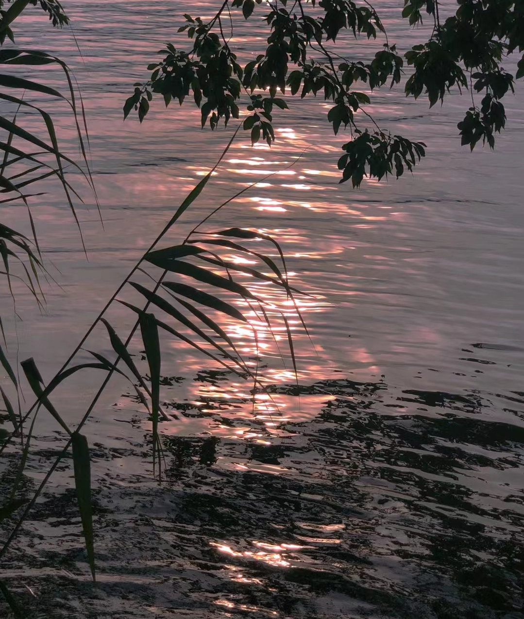 能帮你的人是你自己，也只有你自己。有许多问题需要你向自己发问。比如你能停止自我批