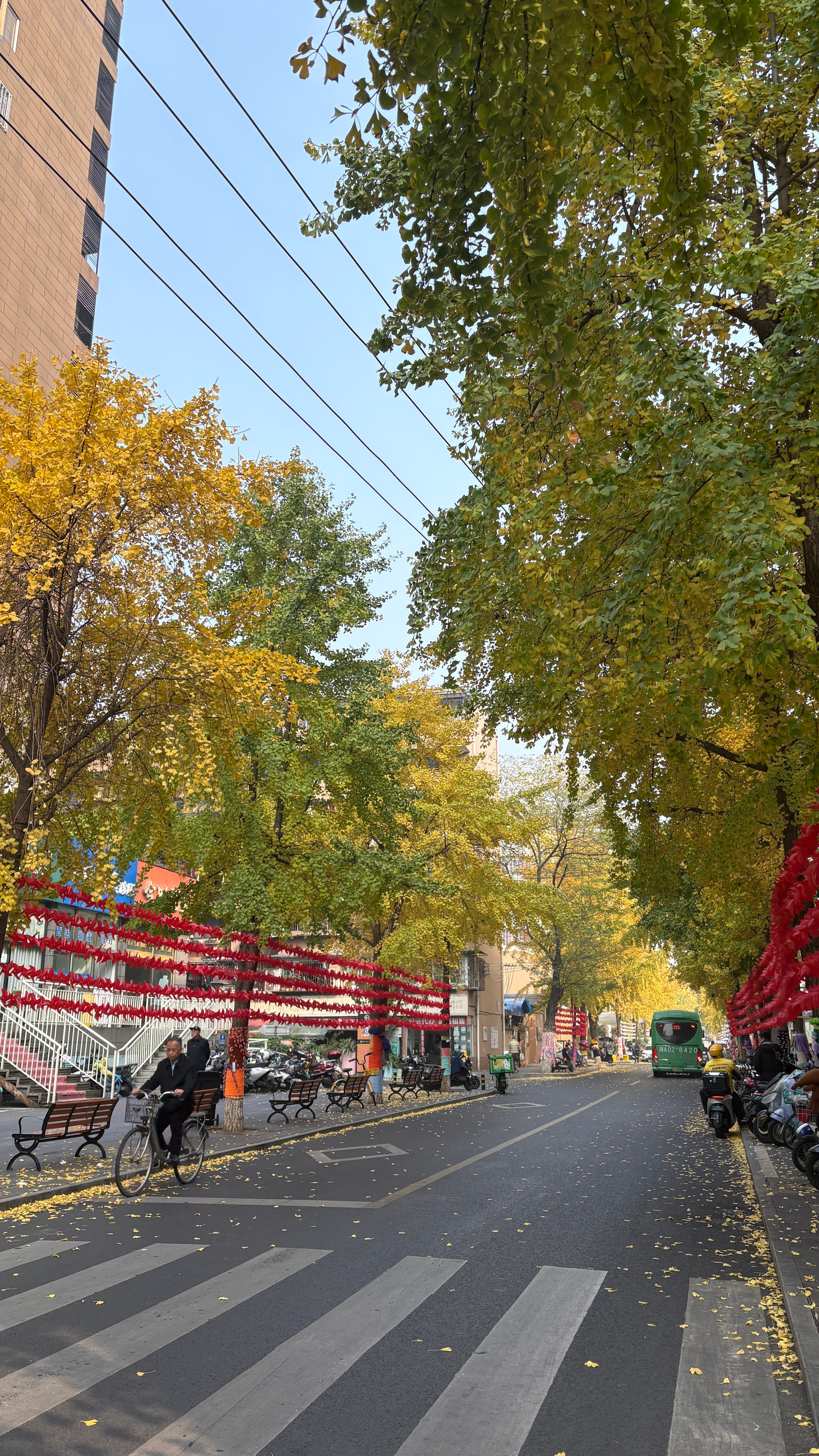 今天我才出去Citywalk了 结果晚上磊说有病