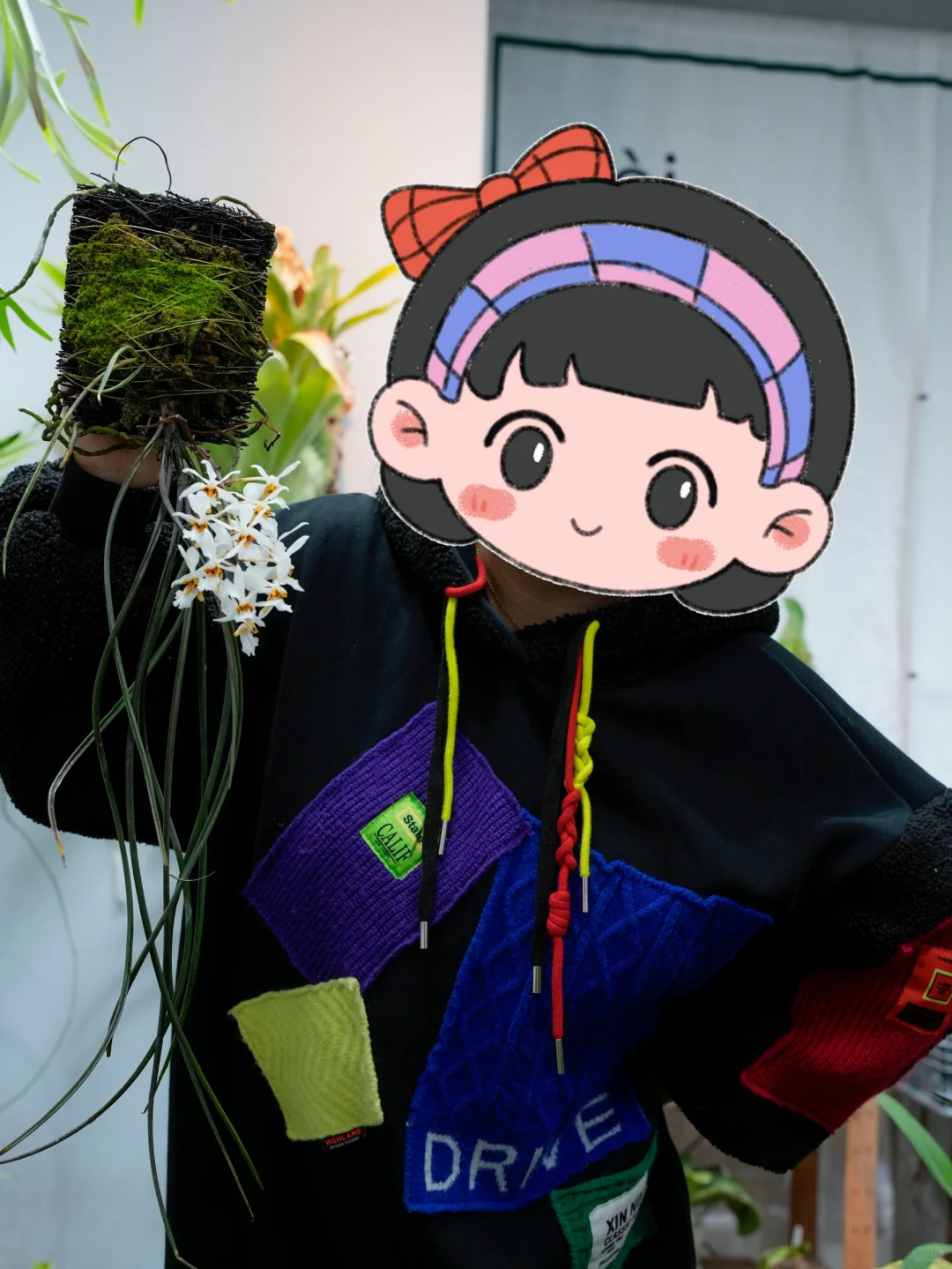 可可爱爱的兰花