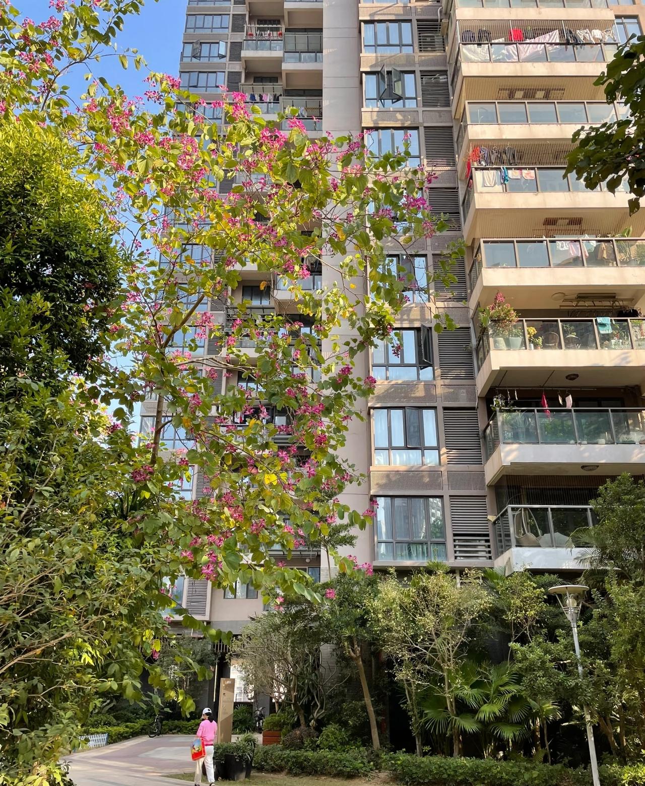 80后，在深圳漂了快20年，
没买房也没落户。
深圳普通刚需小两房大概450万左