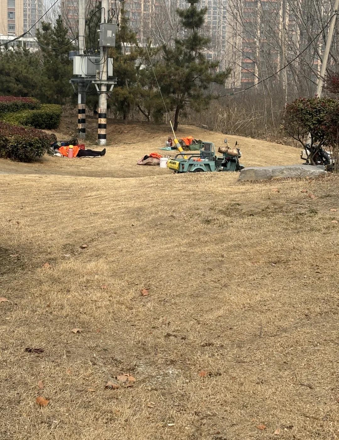 他们的“床”是一片枯草
城市之中，没有可以给他们临时休息的地方吗？冬天风很凉，草